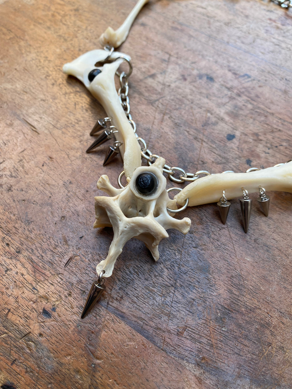 Fox Hip Bones, Femurs and Vertebrae Necklace