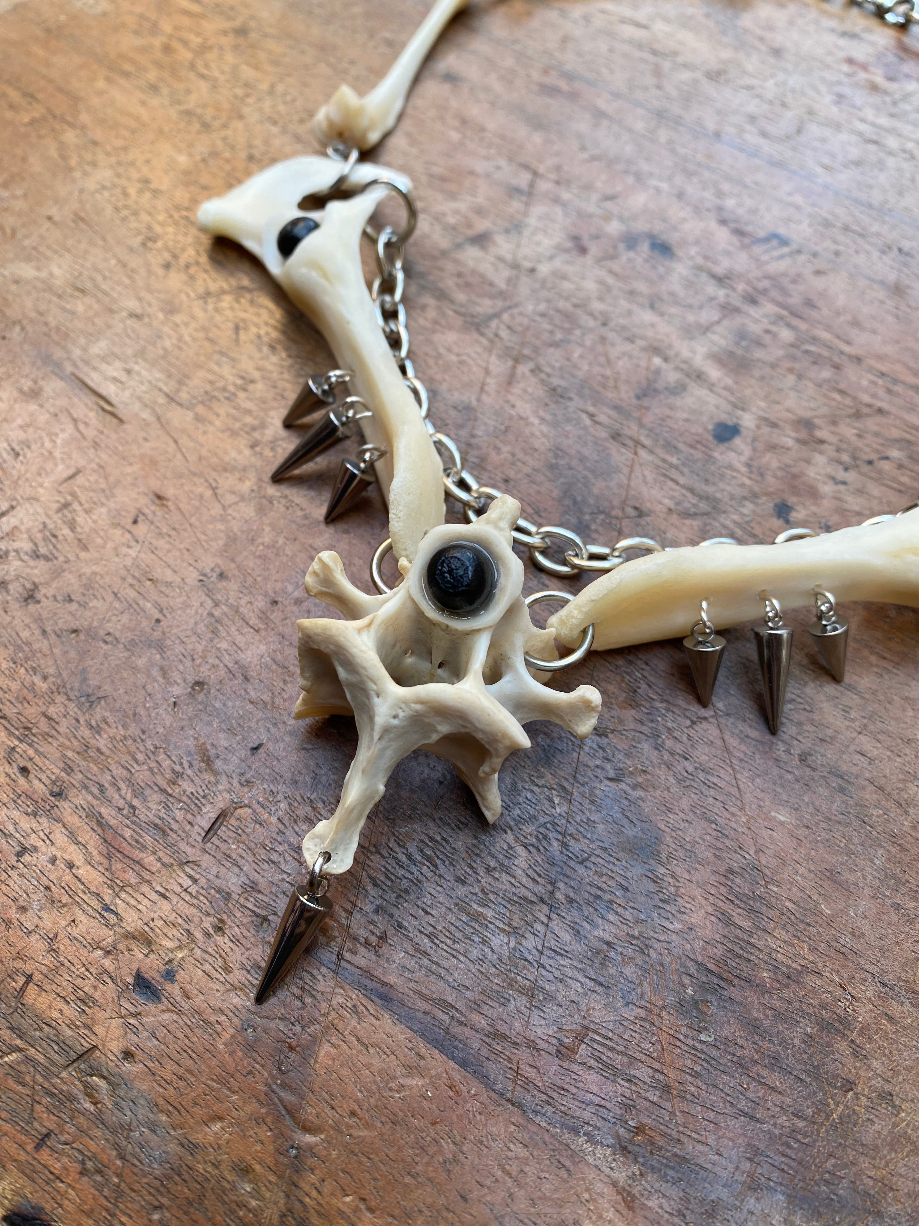 Fox Hip Bones, Femurs and Vertebrae Necklace