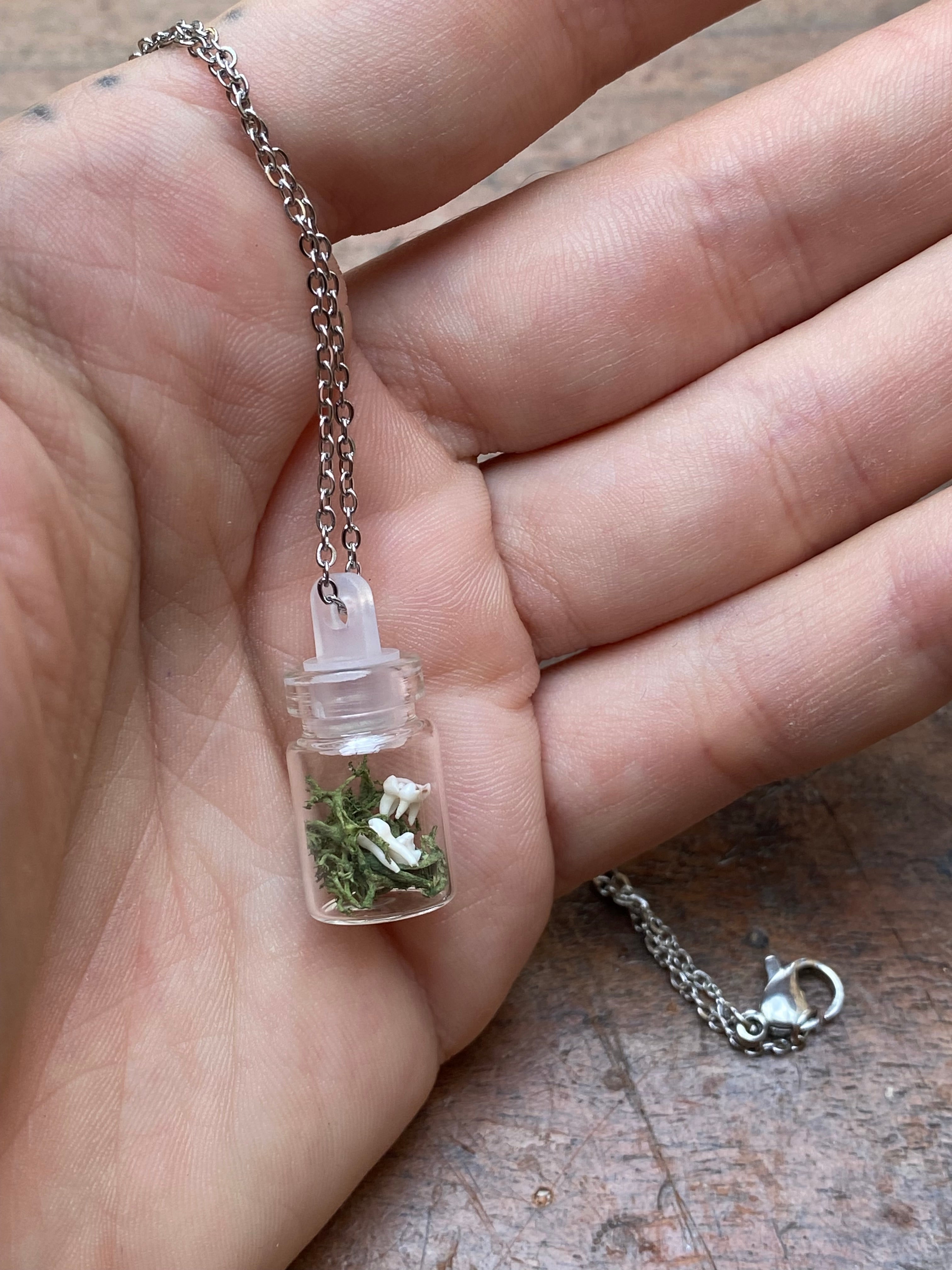 Tiny Squirrel Teeth in Glass Vial Necklace