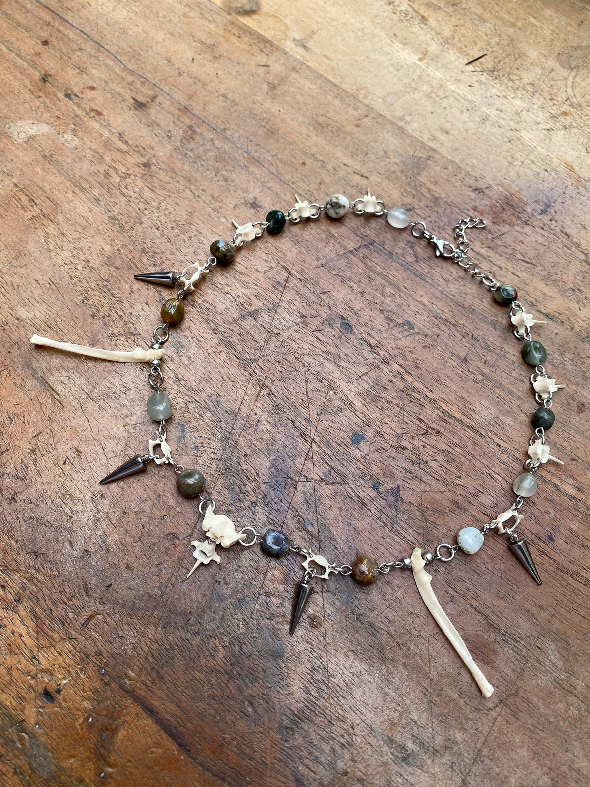 Indian Agate, Squirrel Vertibrae and Femurs Necklace
