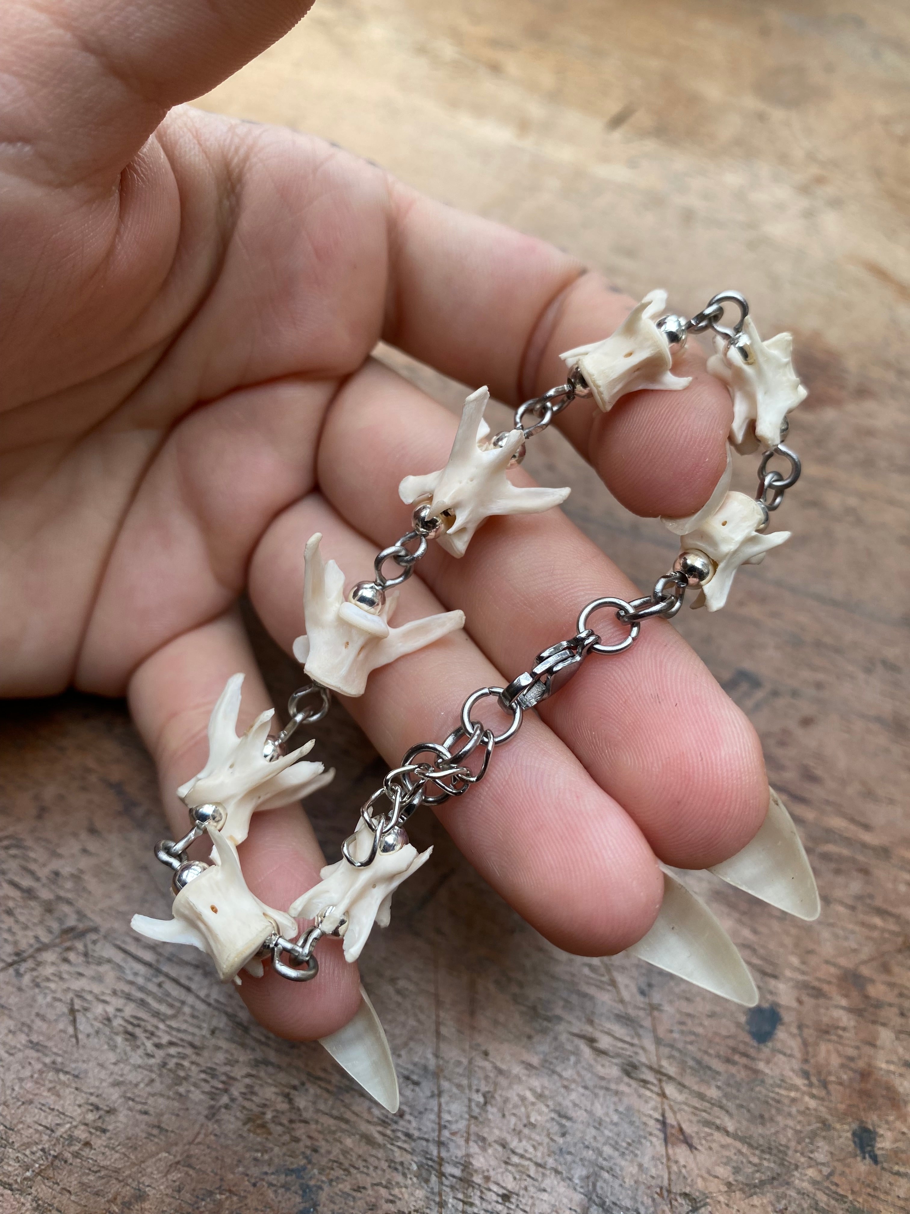 Squirrel Vertibrae Bracelet