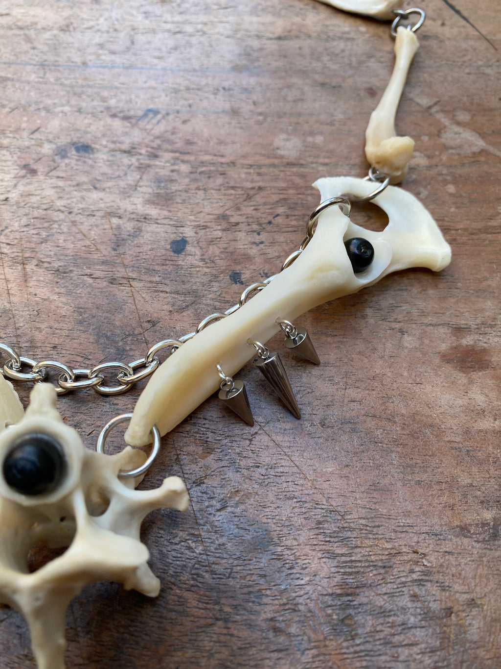 Fox Hip Bones, Femurs and Vertebrae Necklace