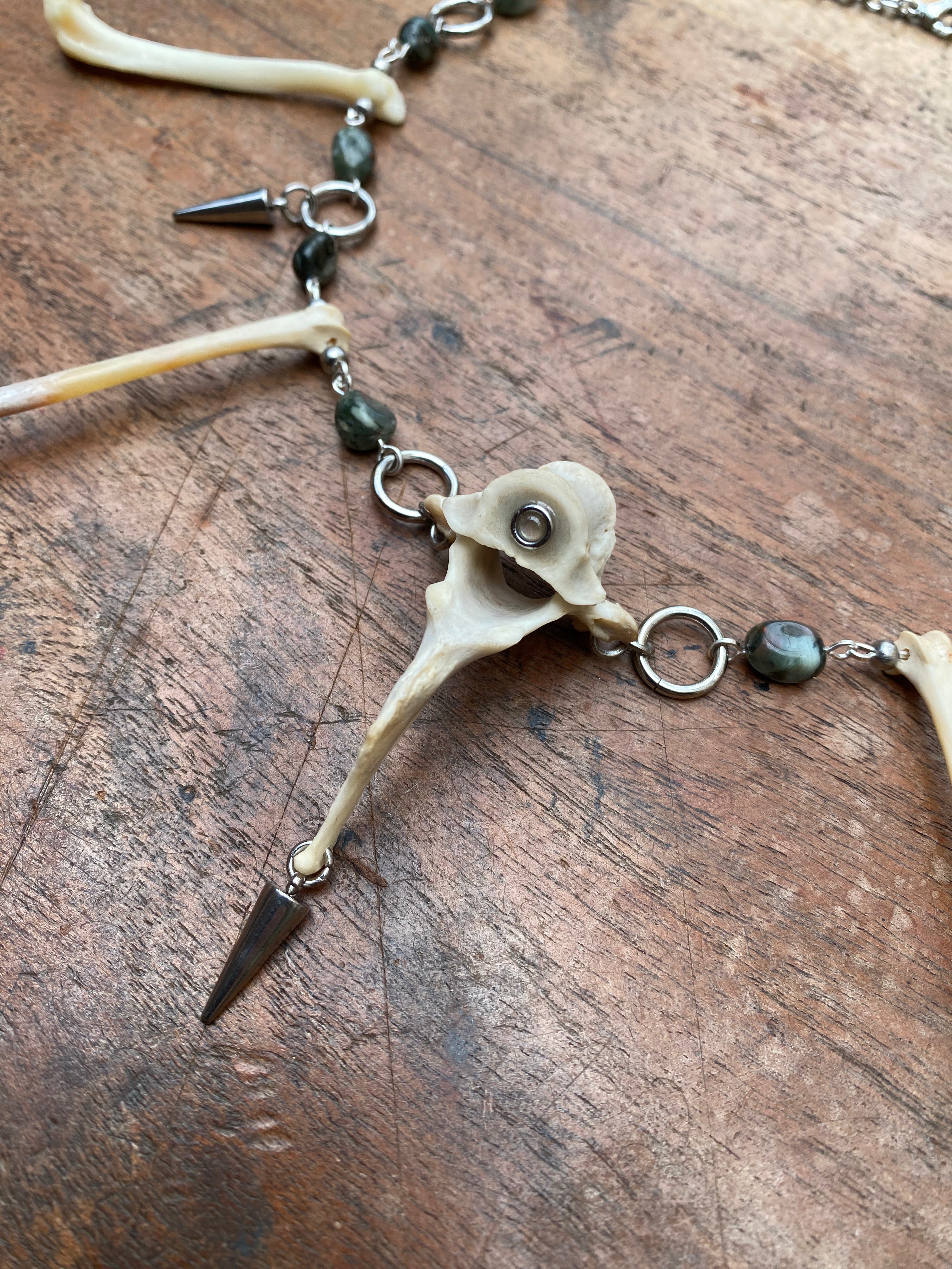 Indian Agate, Femurs and Vertebrae Bone Necklace