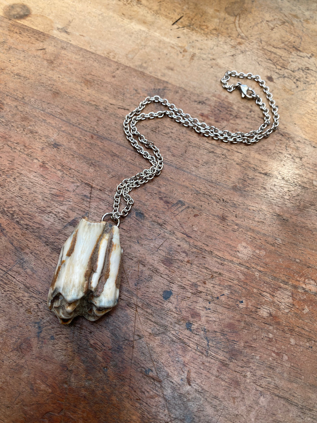 Large Mudlarked Tooth Pendant Necklace