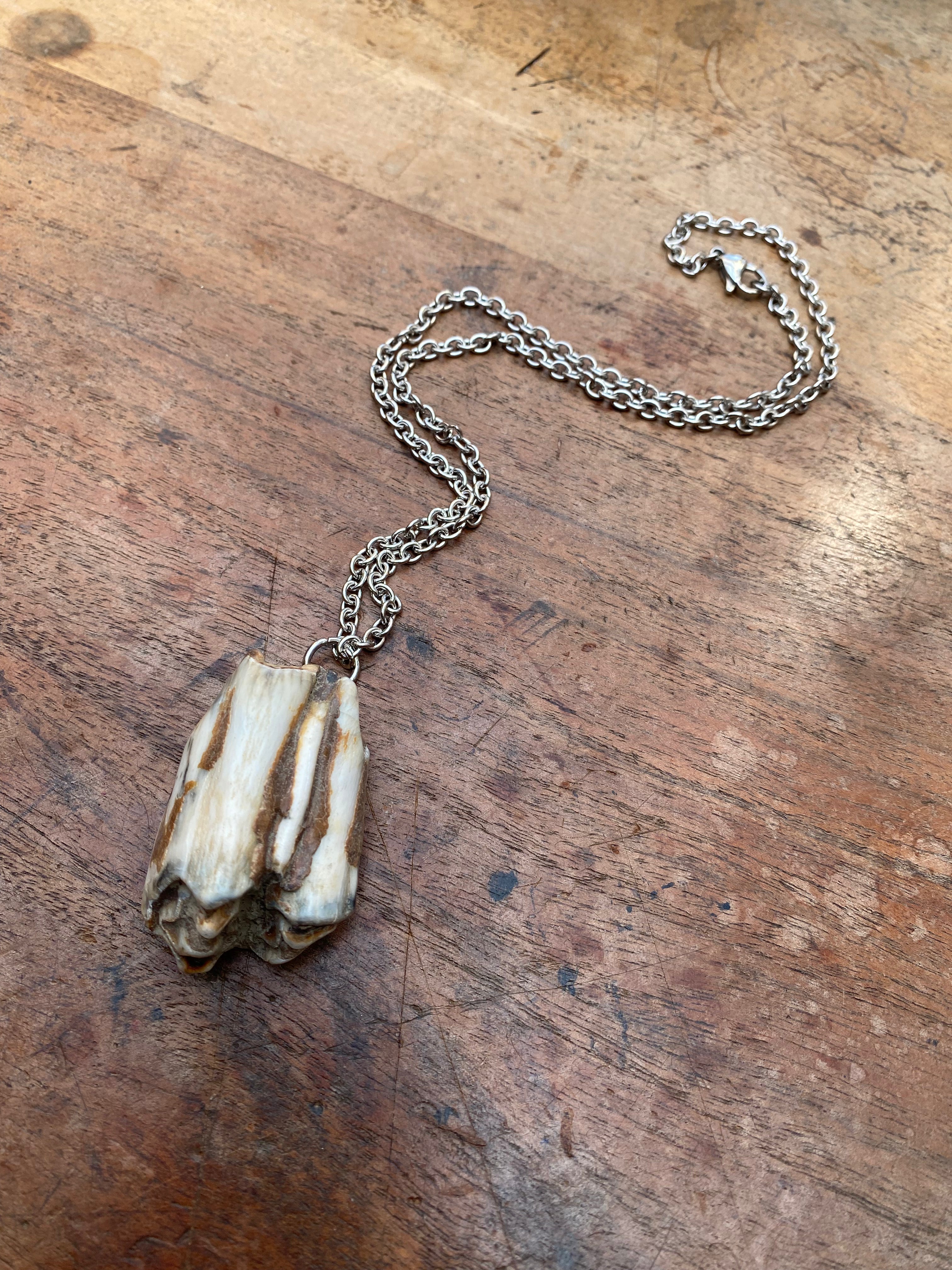 Large Mudlarked Tooth Pendant Necklace