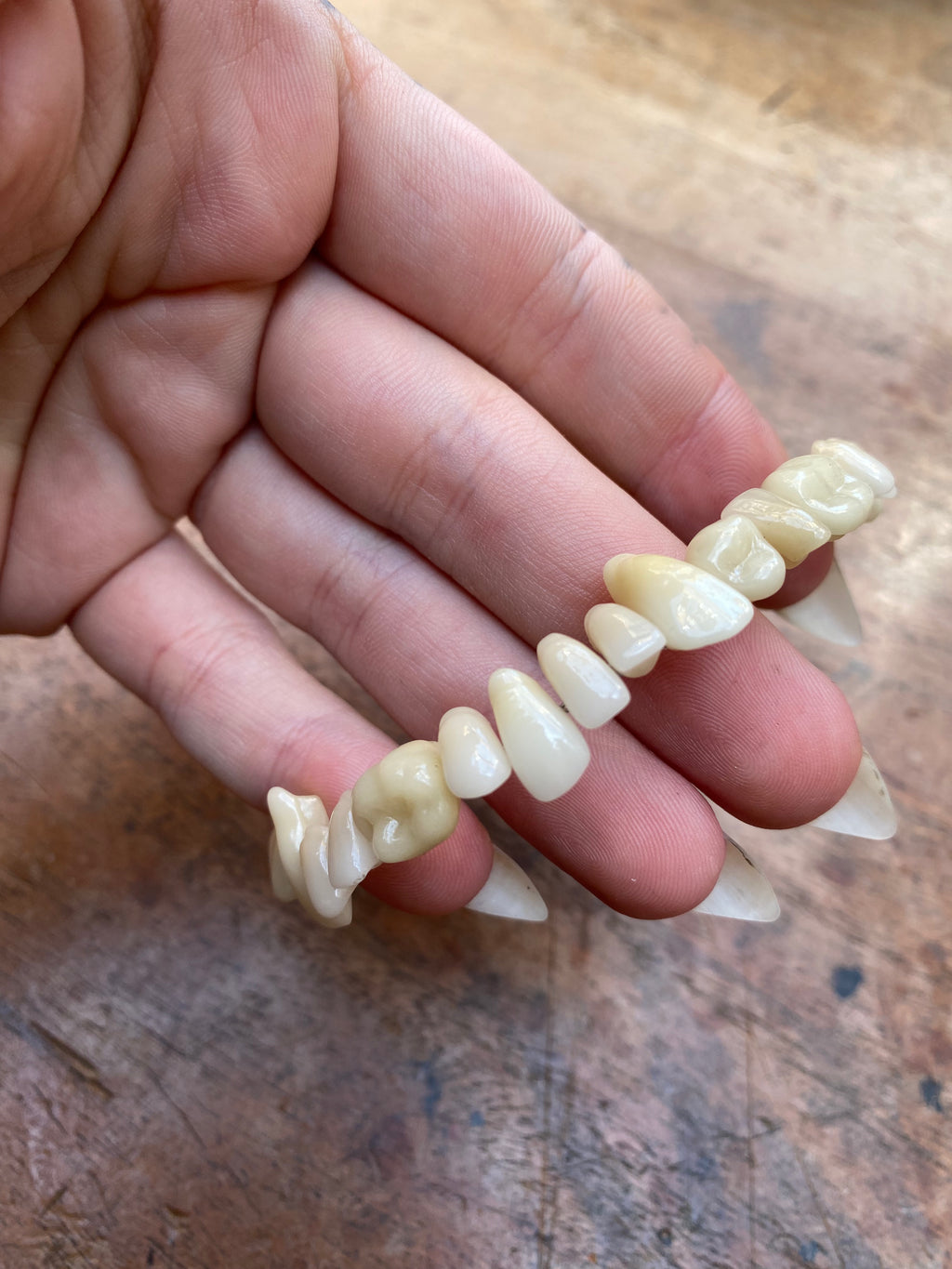 Vintage Dentist Ceramic Teeth Bracelet