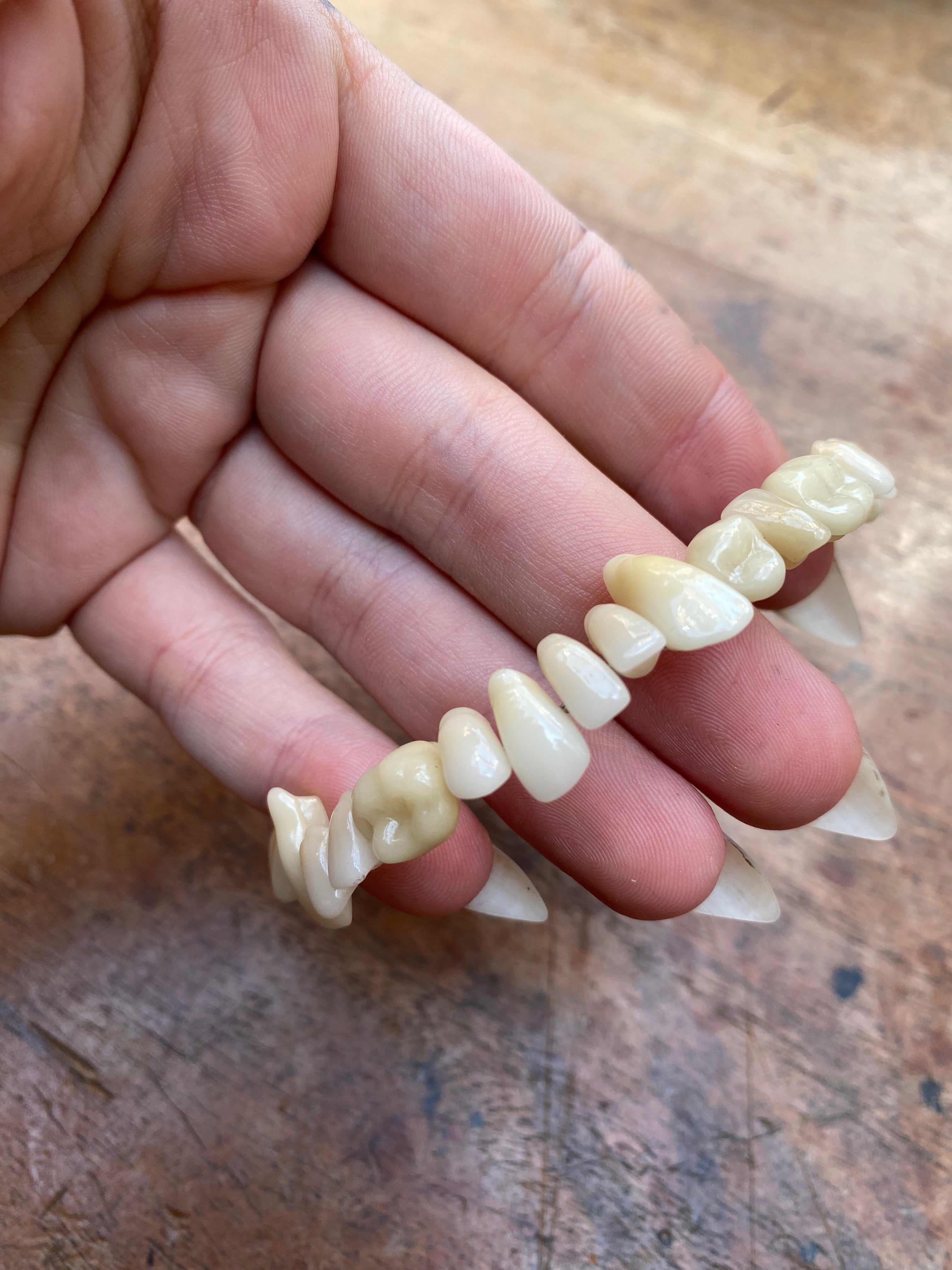 Vintage Dentist Ceramic Teeth Bracelet