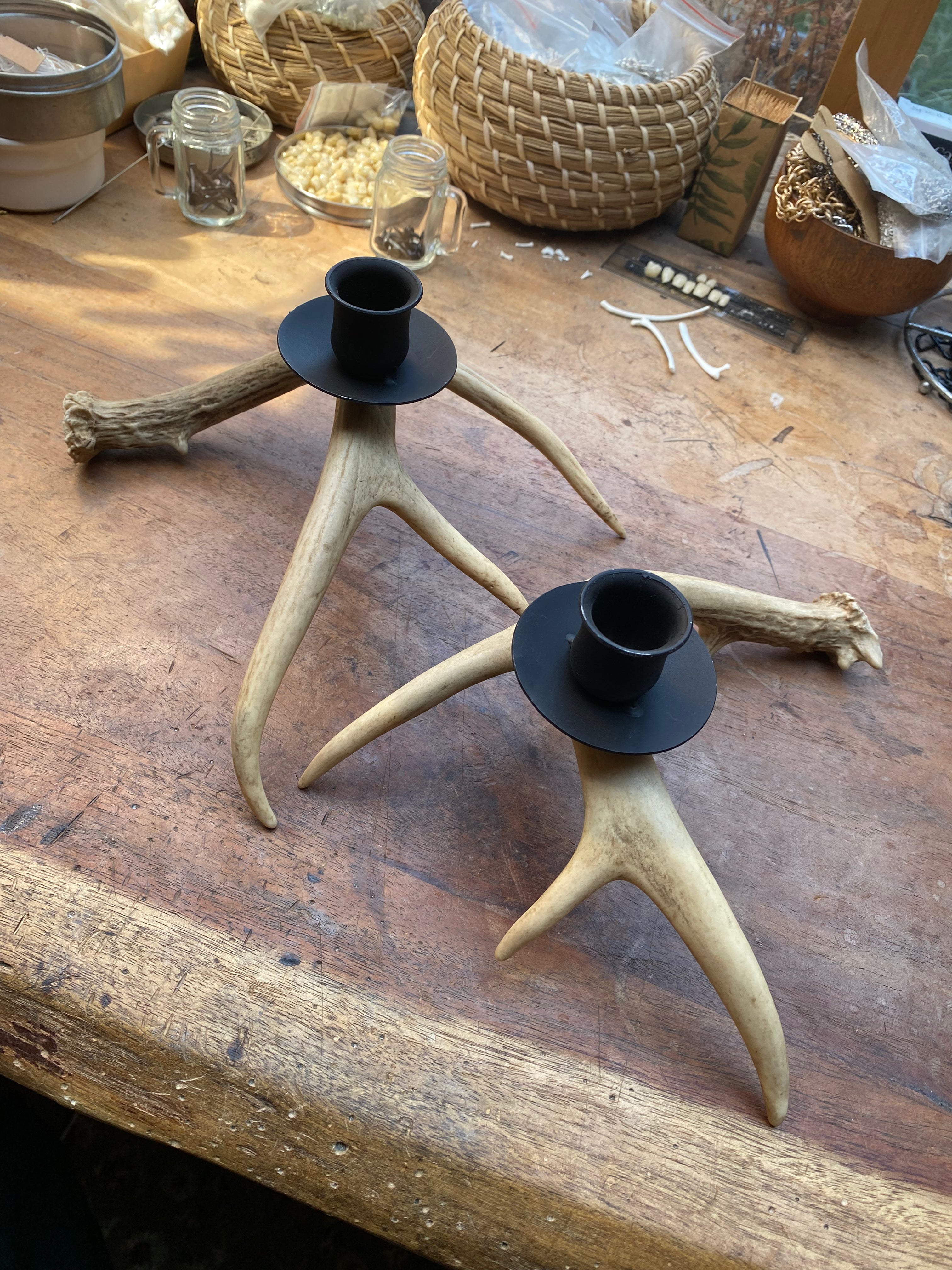 Pair of Antler Candle Holders
