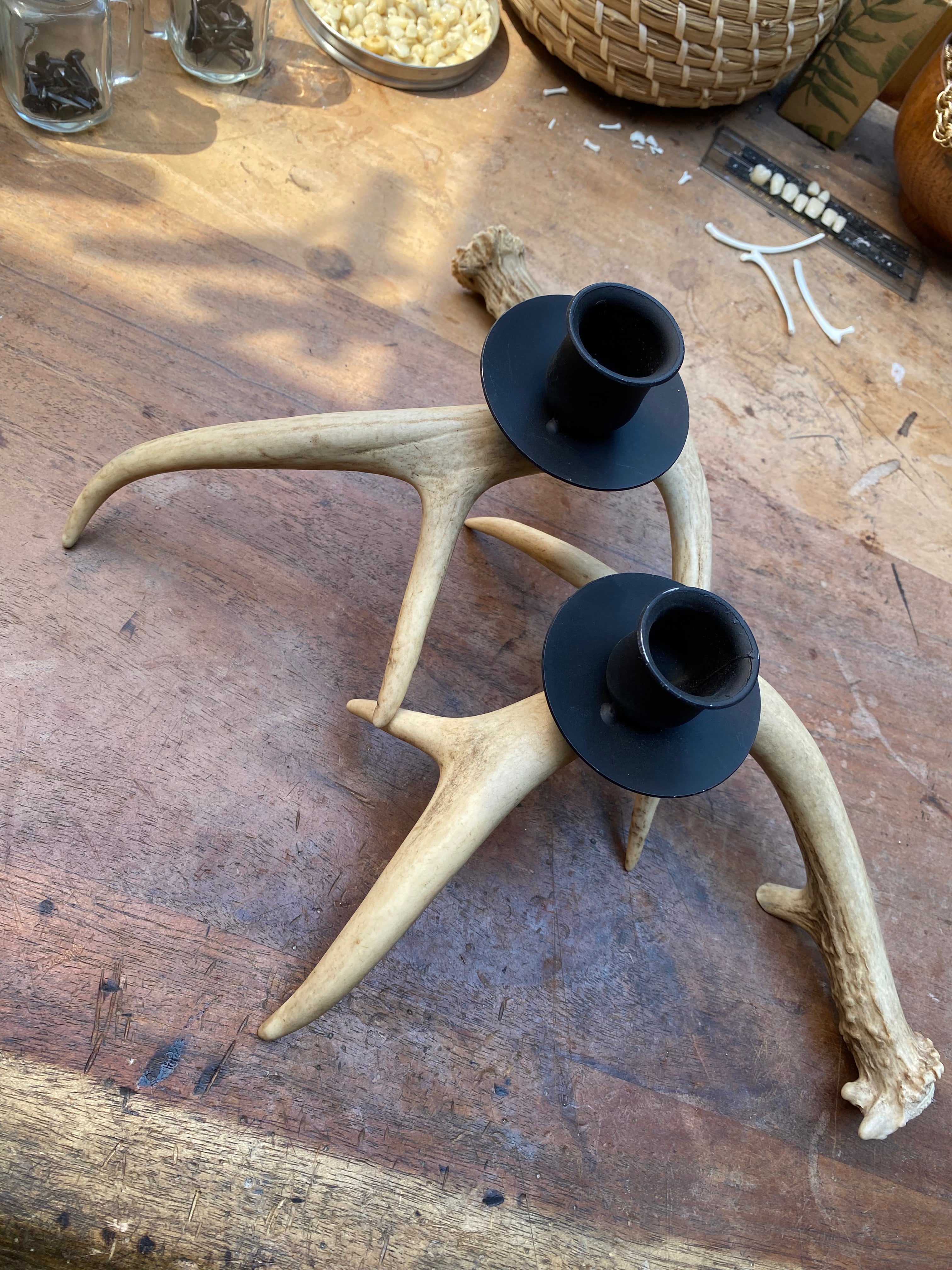 Pair of Antler Candle Holders