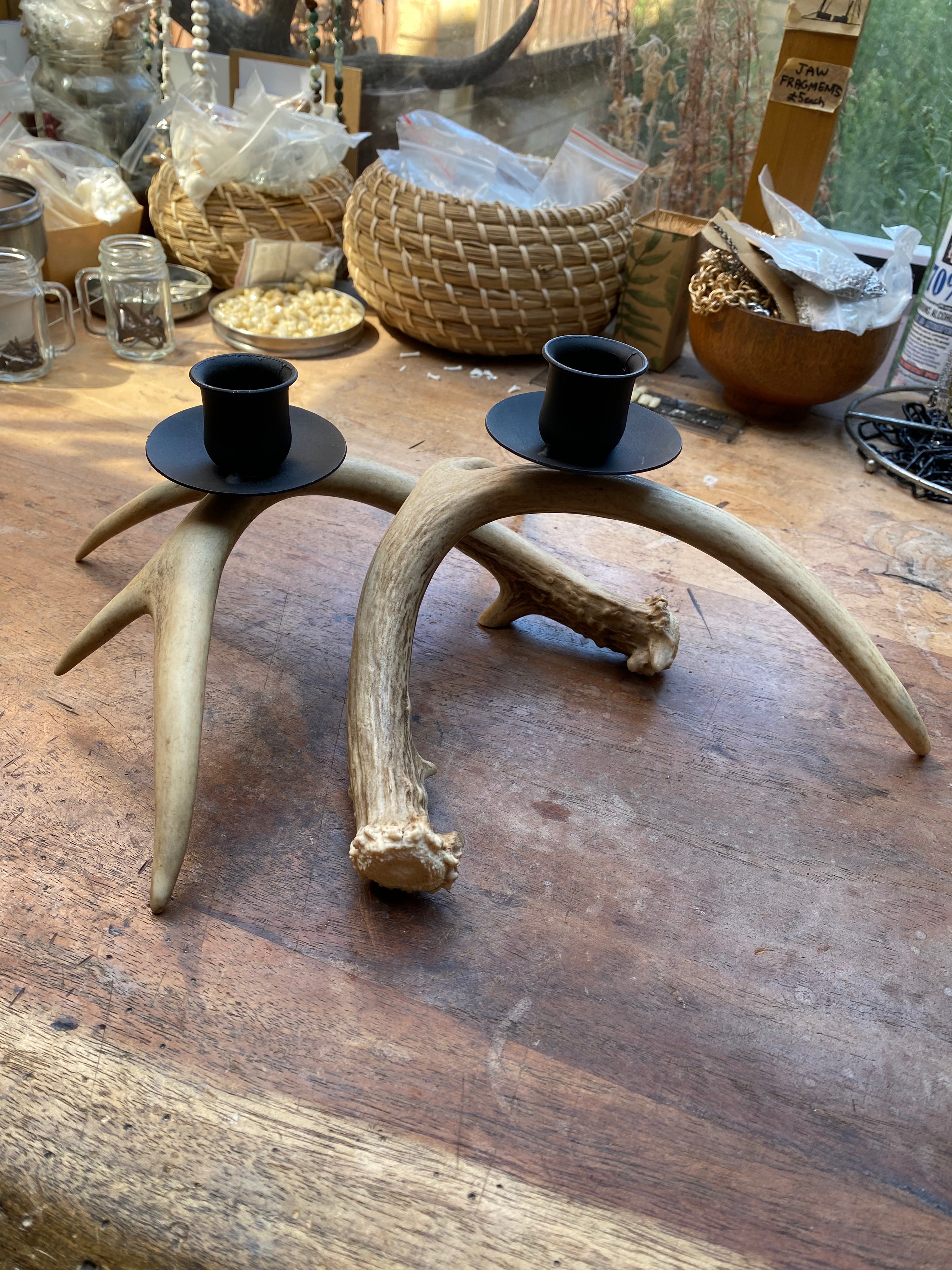 Pair of Antler Candle Holders