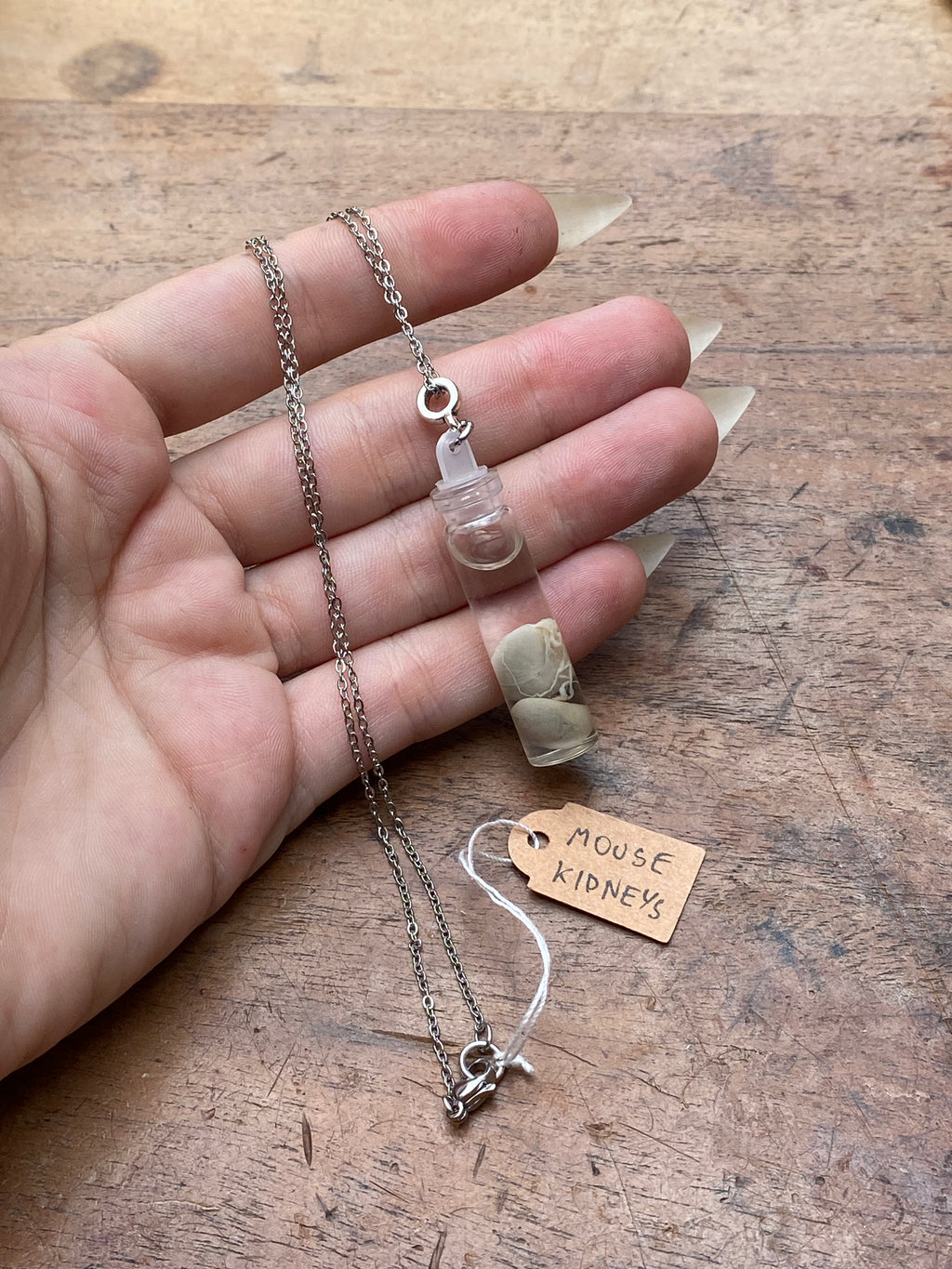 Mouse Kidneys Wet Specimen Necklace