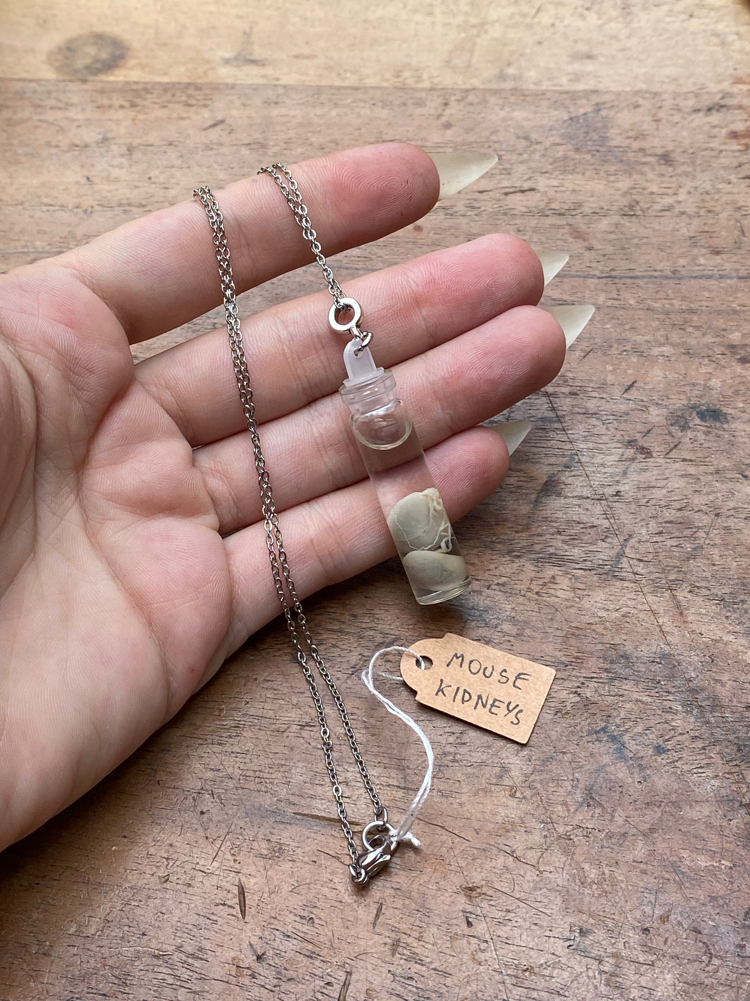 Mouse Kidneys Wet Specimen Necklace