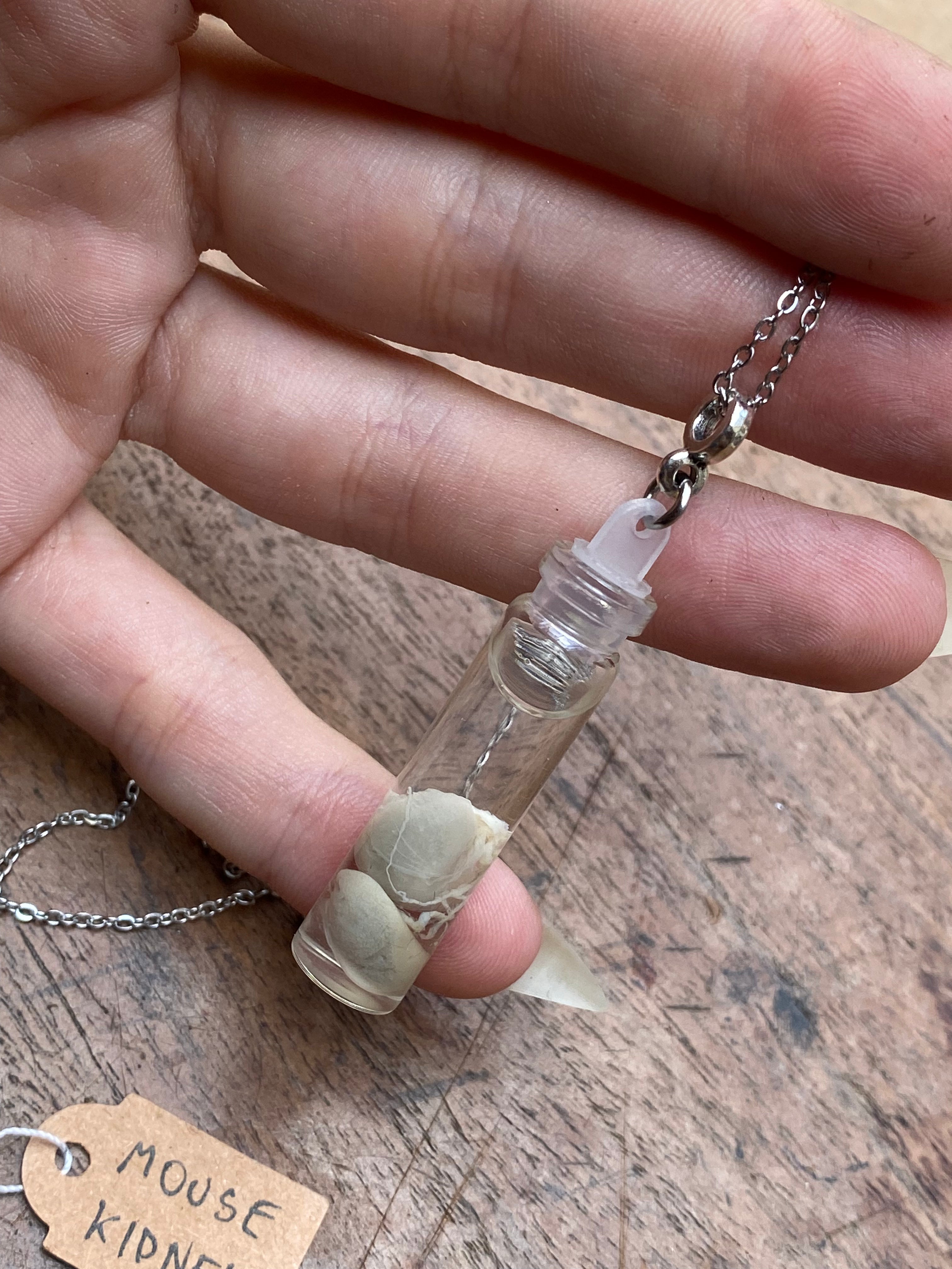 Mouse Kidneys Wet Specimen Necklace