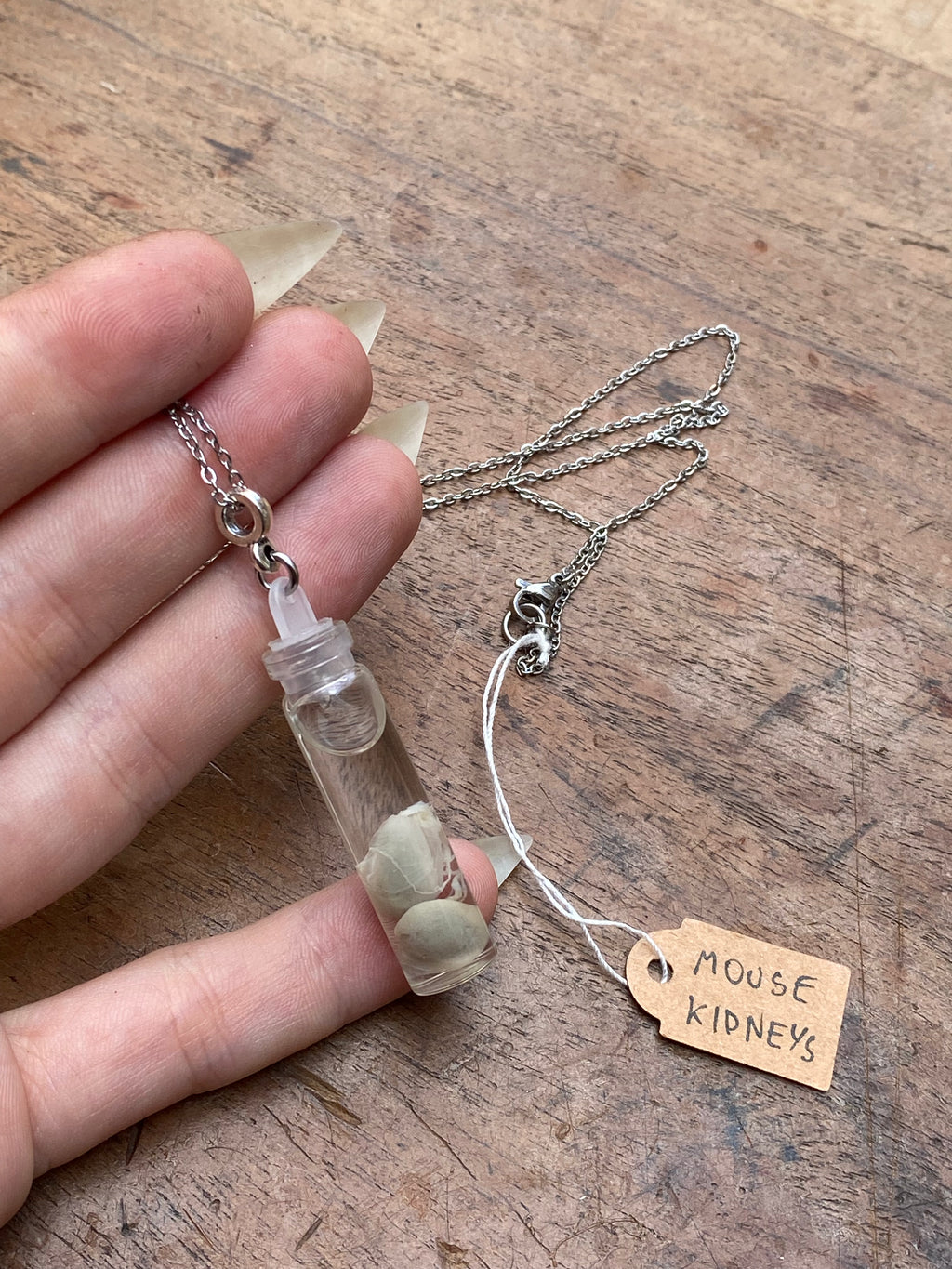 Mouse Kidneys Wet Specimen Necklace
