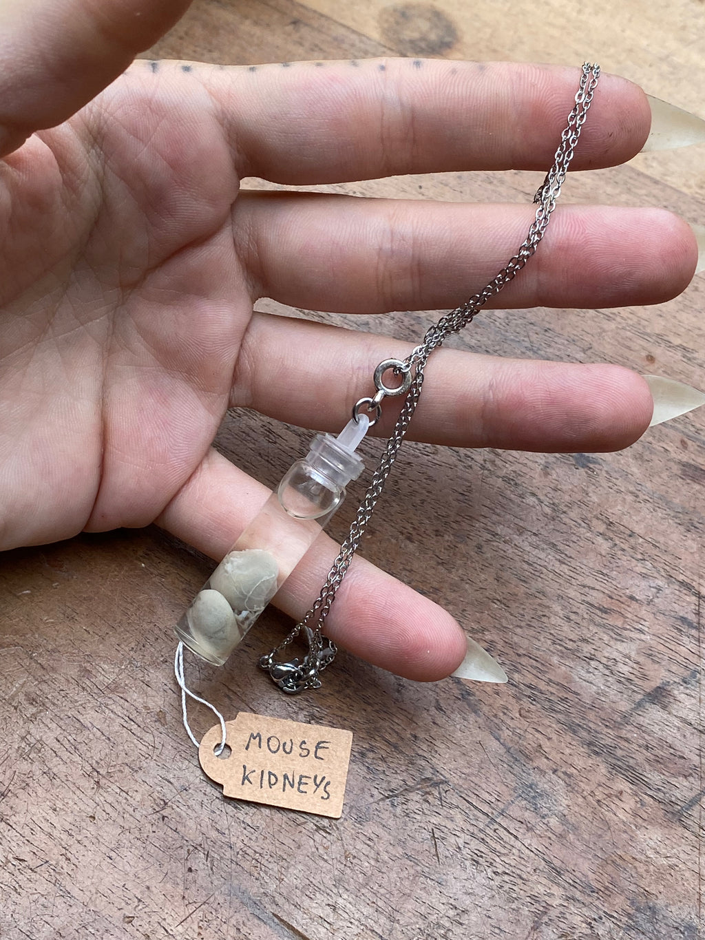 Mouse Kidneys Wet Specimen Necklace