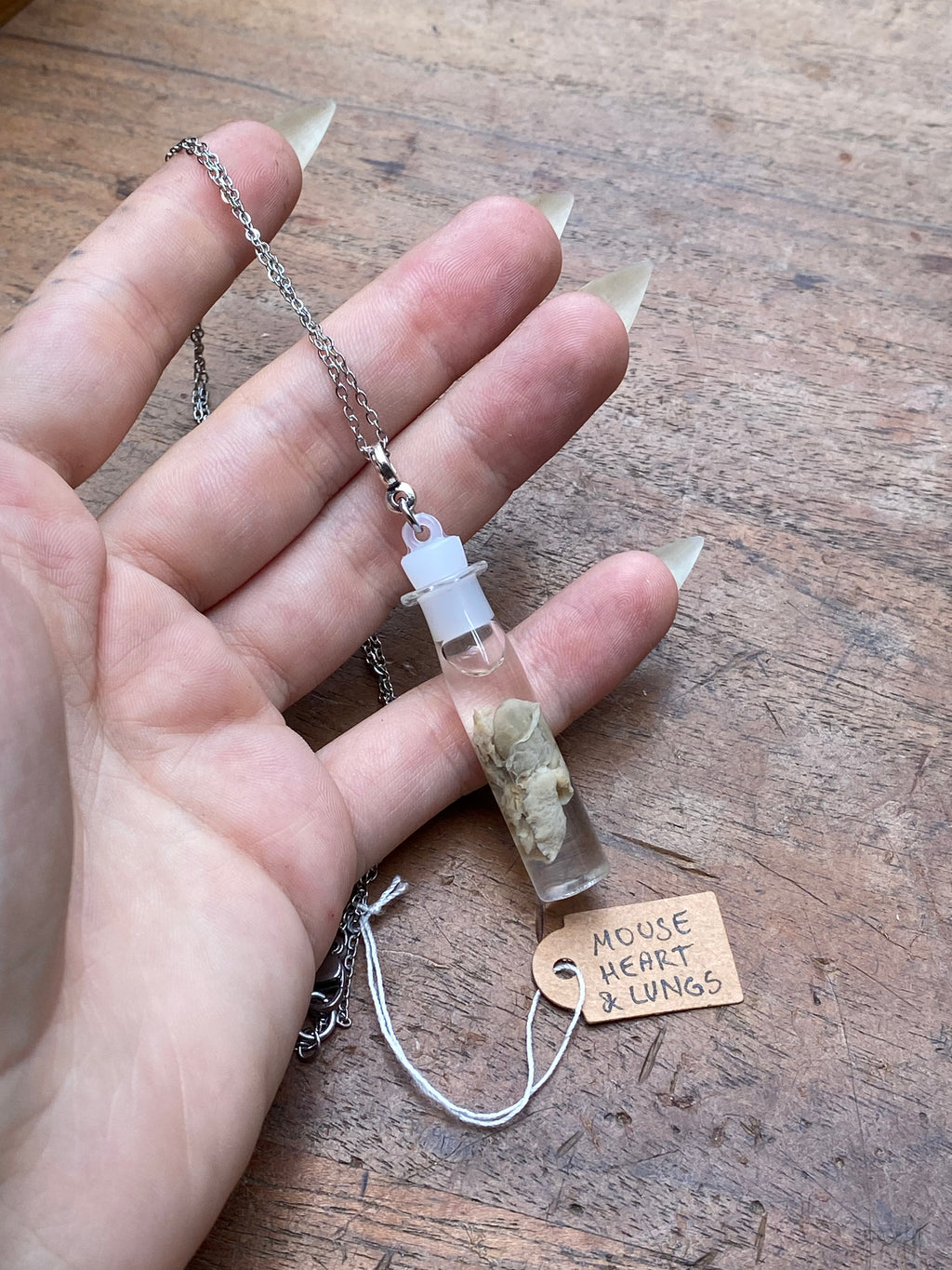Mouse Heart and Lungs Wet Specimen Necklace