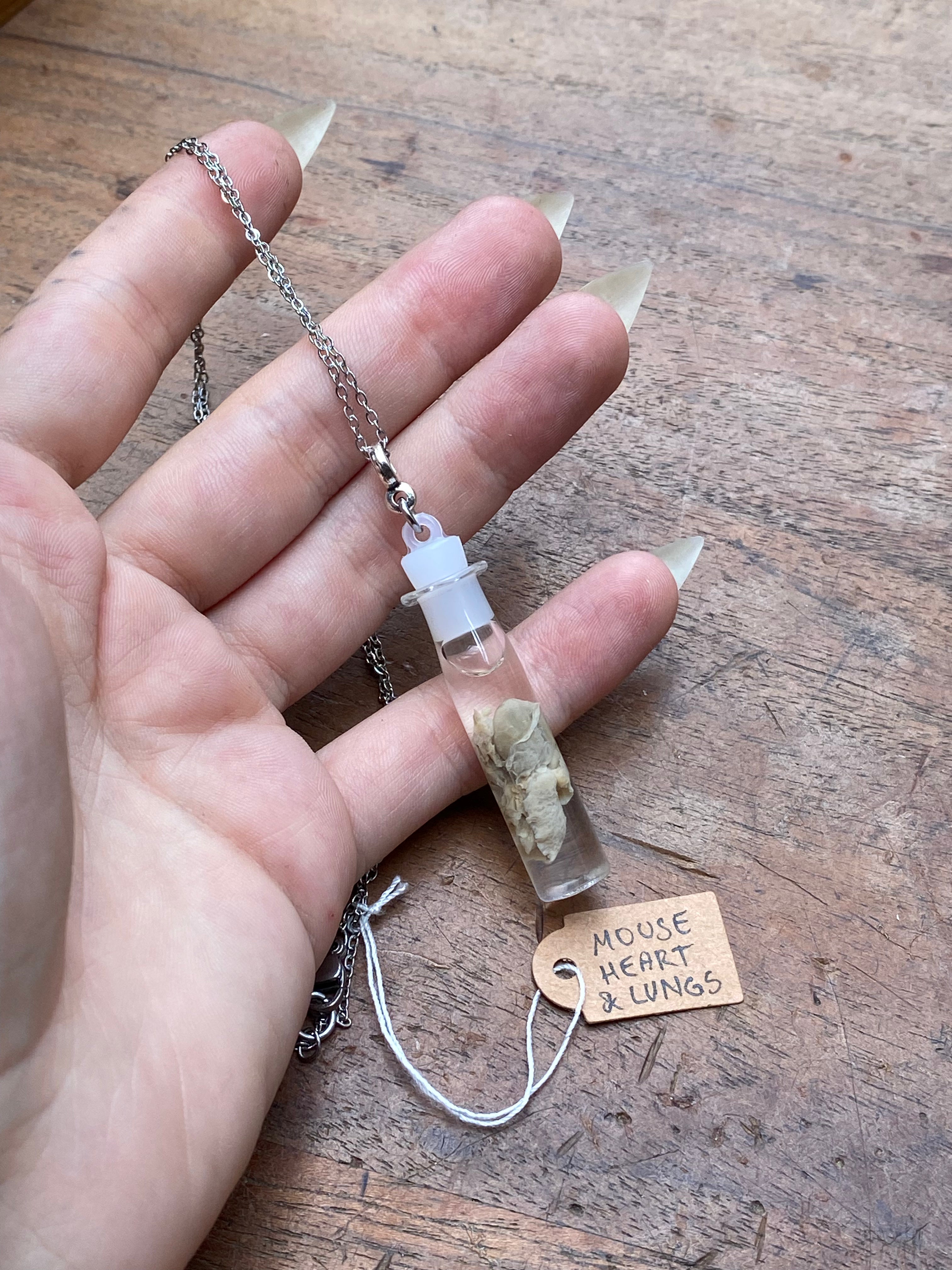 Mouse Heart and Lungs Wet Specimen Necklace