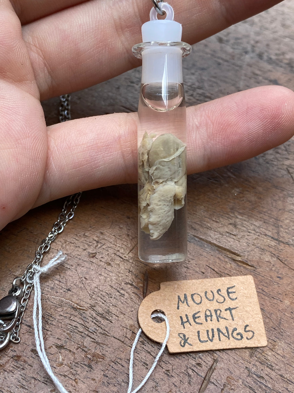 Mouse Heart and Lungs Wet Specimen Necklace