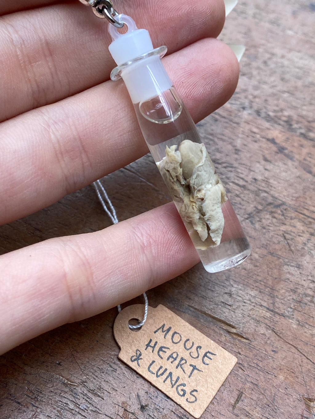 Mouse Heart and Lungs Wet Specimen Necklace