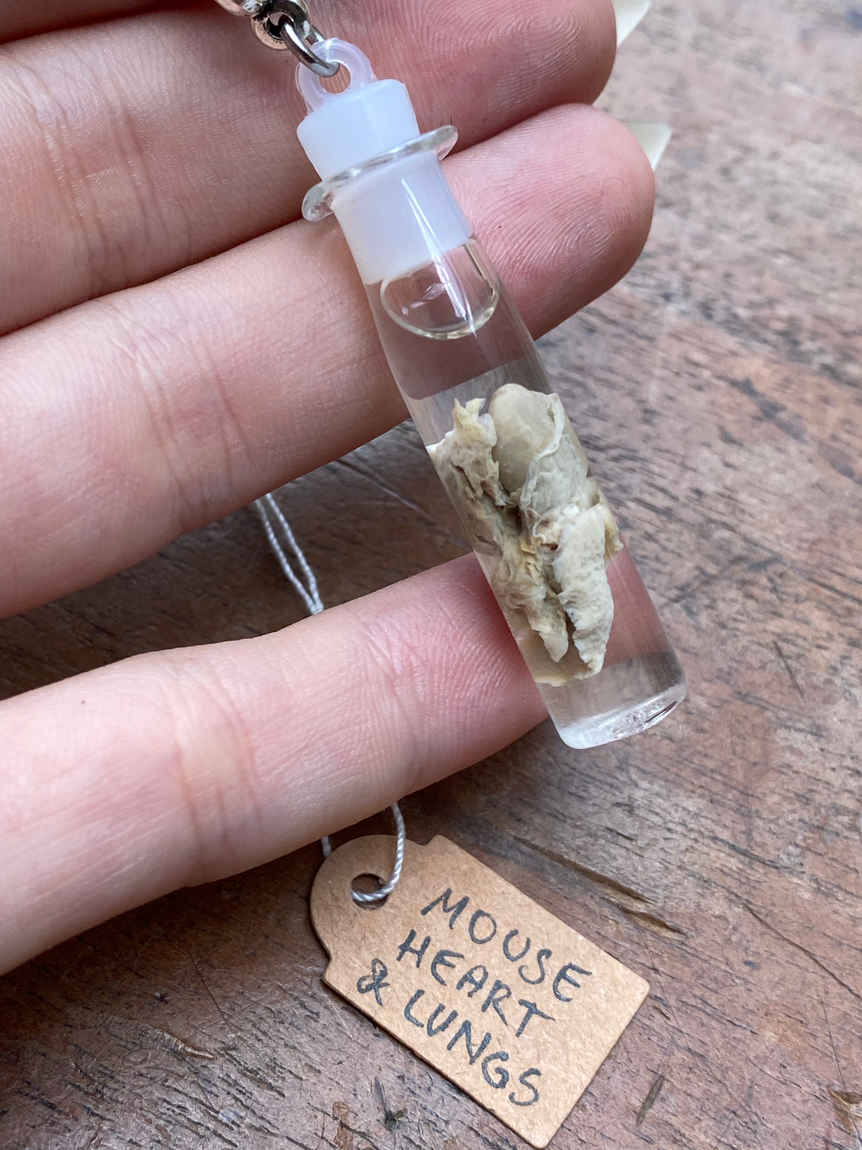 Mouse Heart and Lungs Wet Specimen Necklace