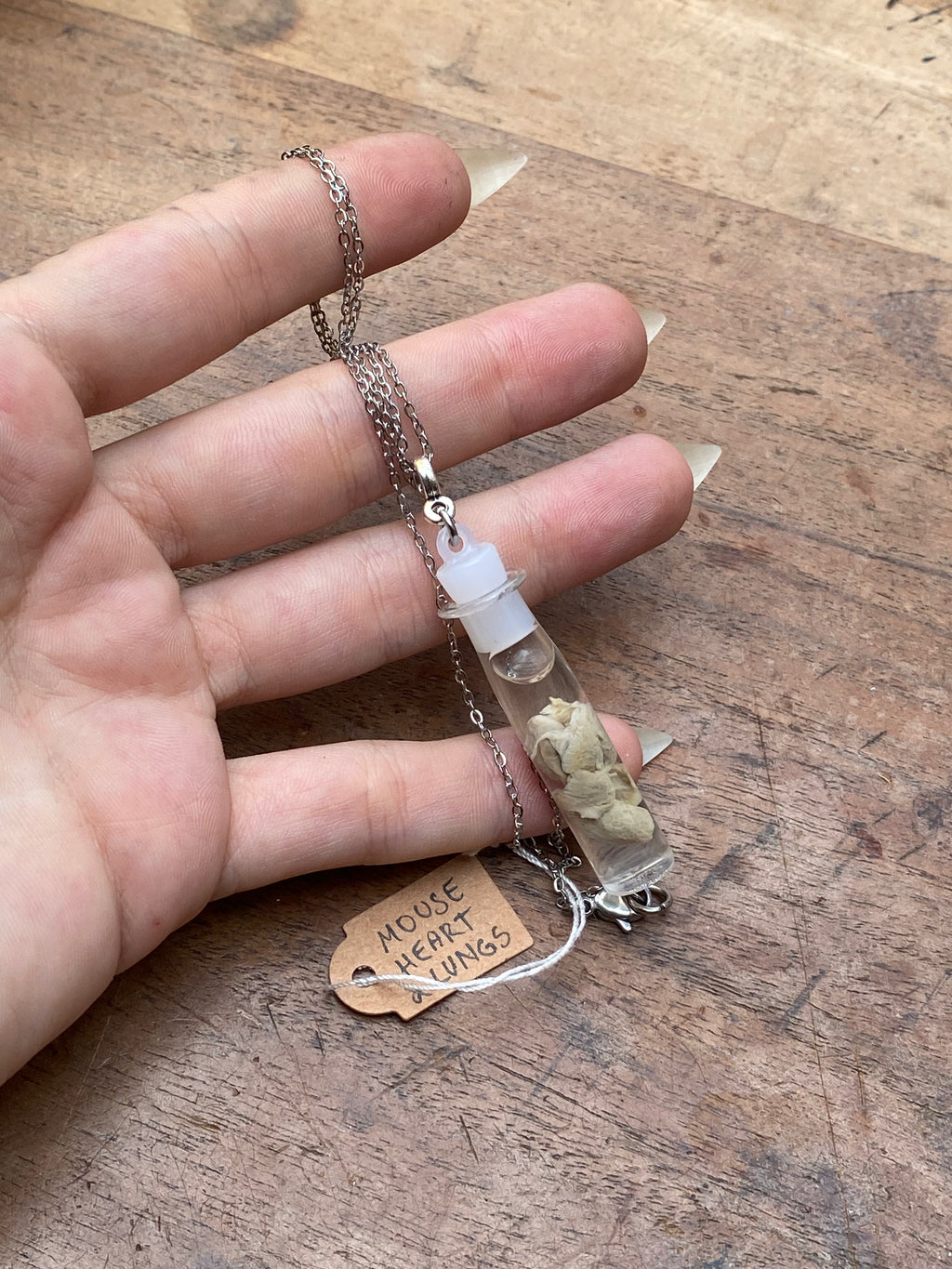 Mouse Heart and Lungs Wet Specimen Necklace