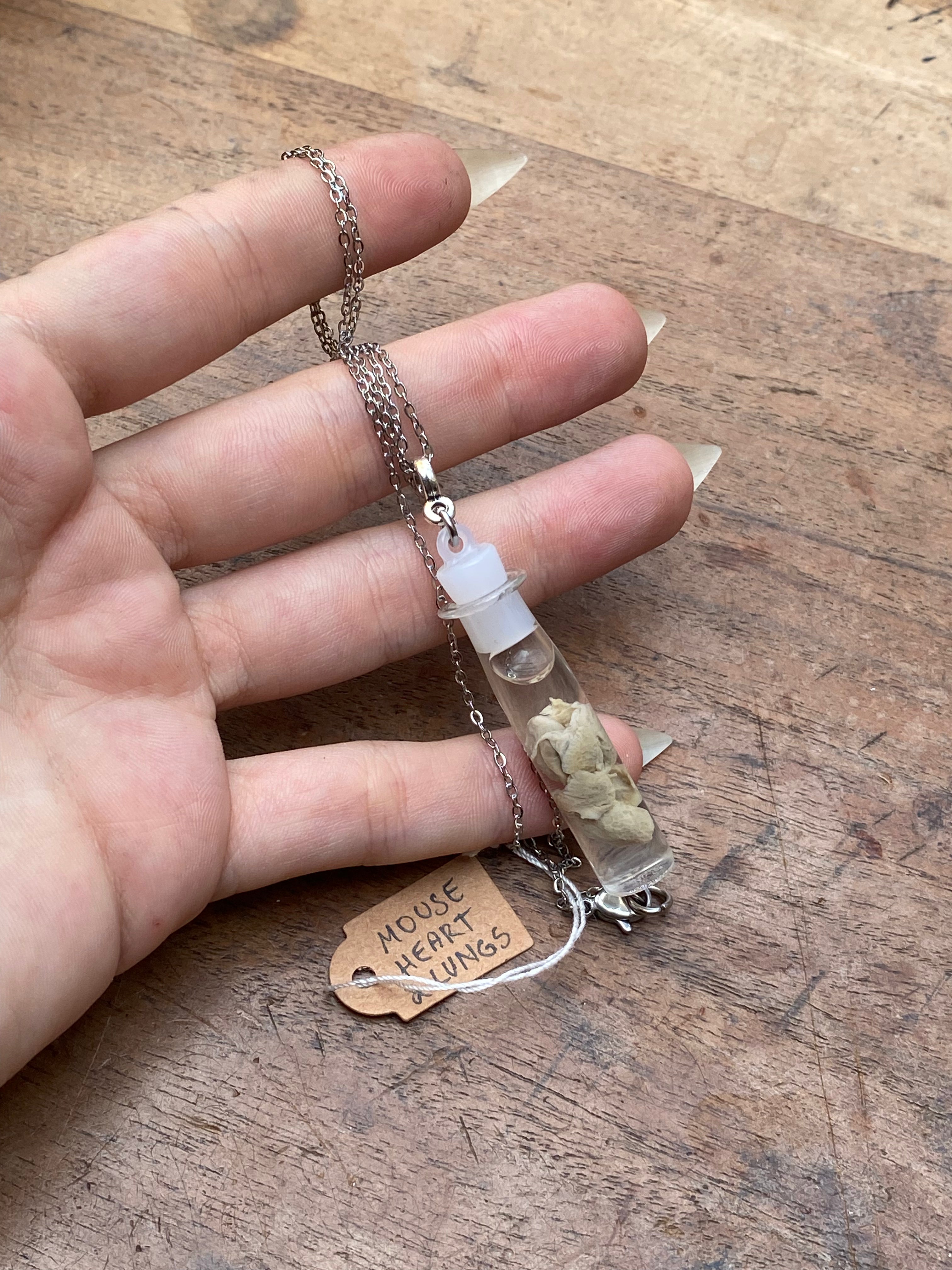 Mouse Heart and Lungs Wet Specimen Necklace