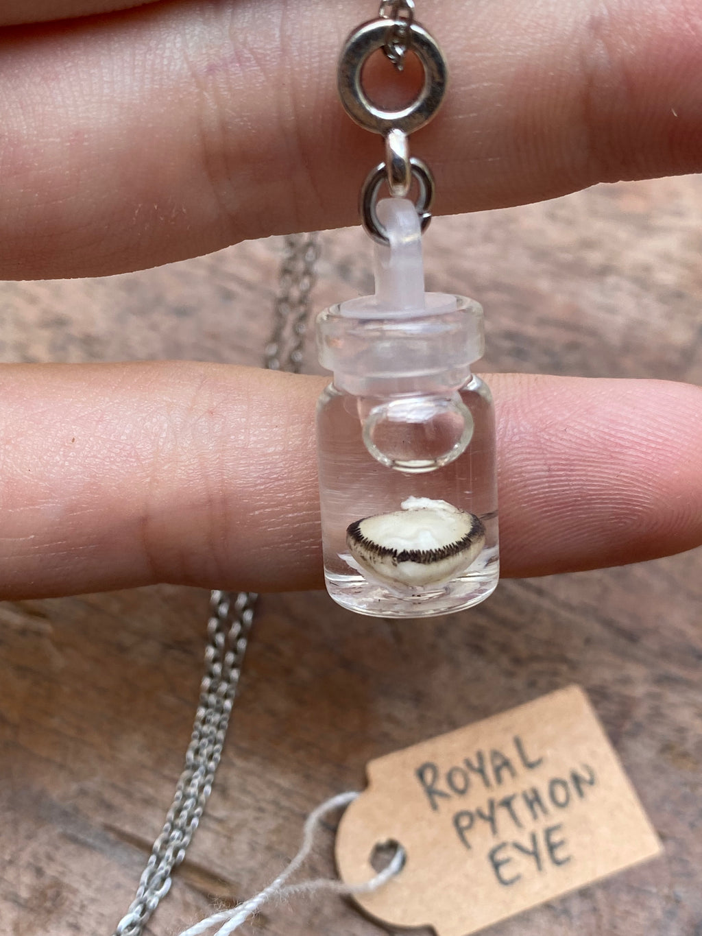 Royal Python Eye Wet Specimen Necklace