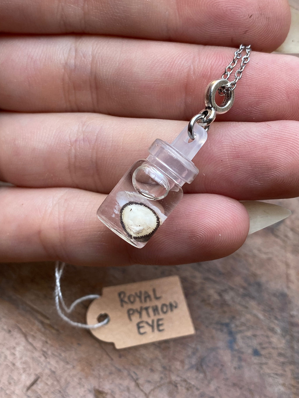 Royal Python Eye Wet Specimen Necklace