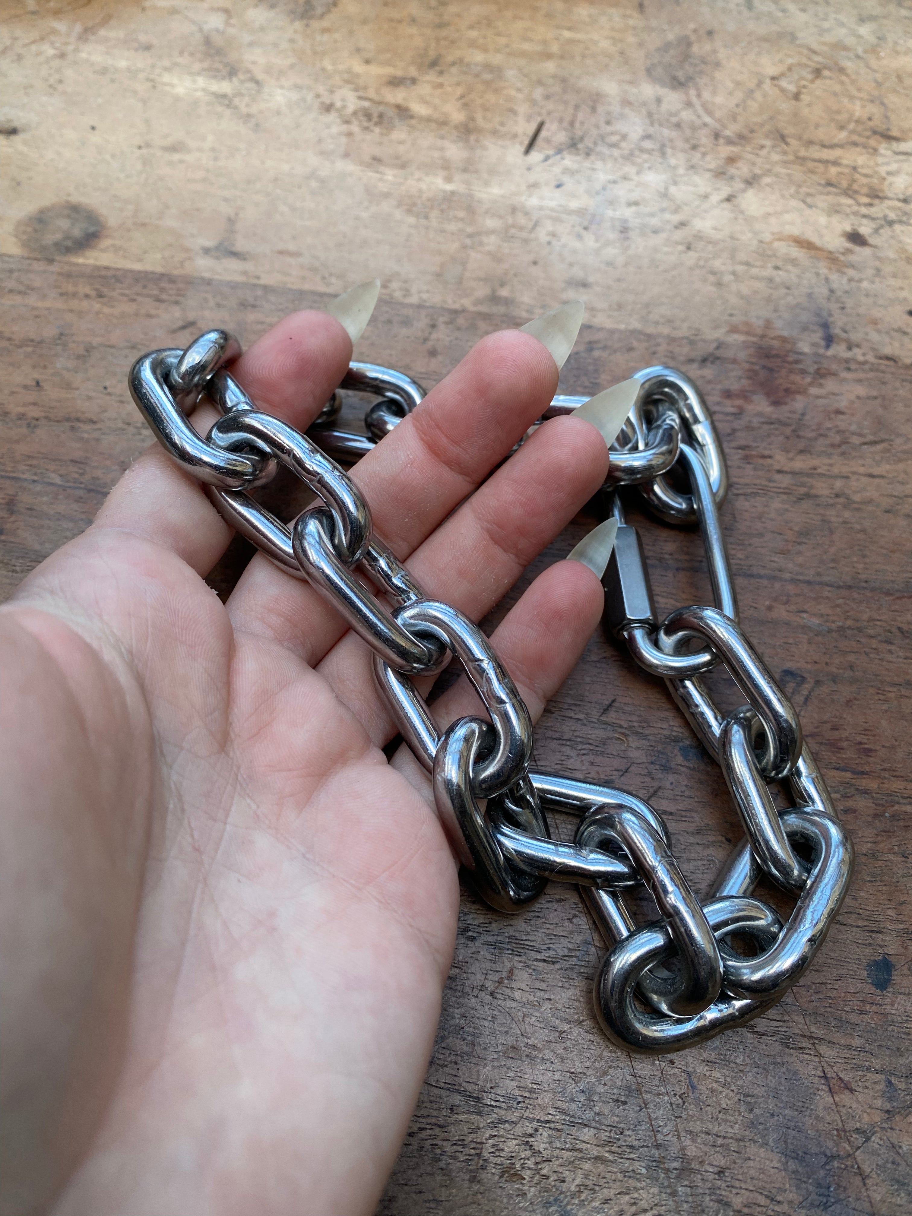 Heavy Stainless Steel Chain Collar