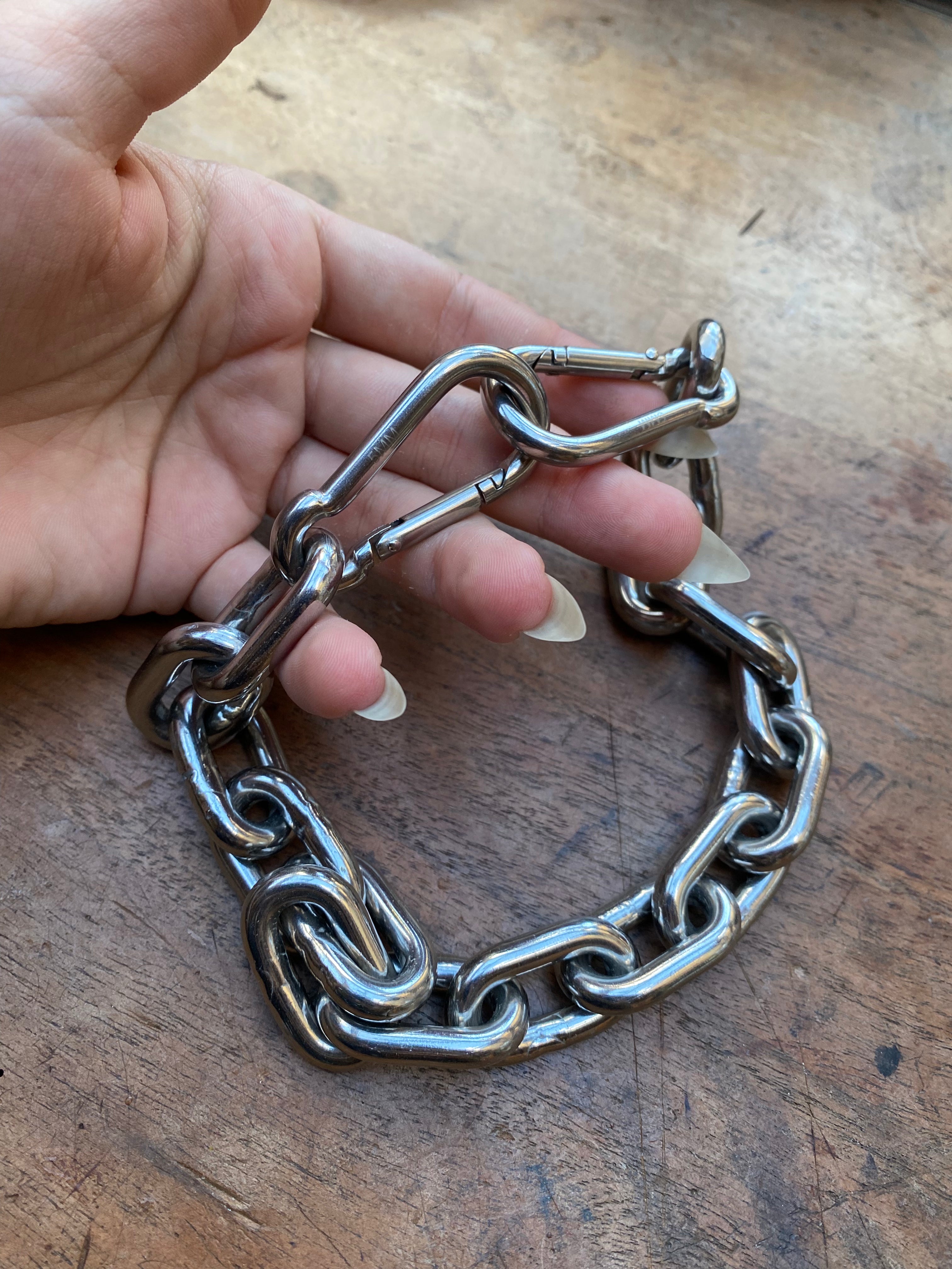 Heavy Stainless Steel Chain Collar with Carabiners