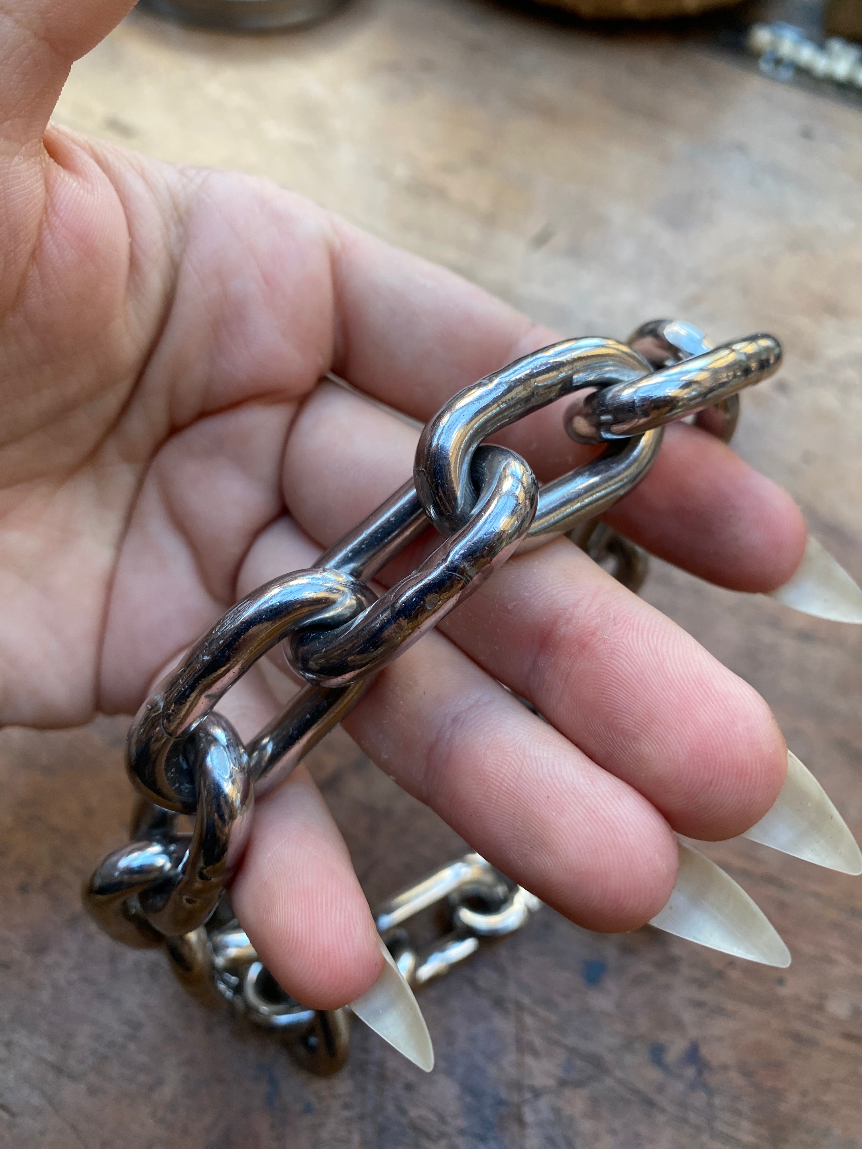 Heavy Stainless Steel Chain Collar with Carabiners