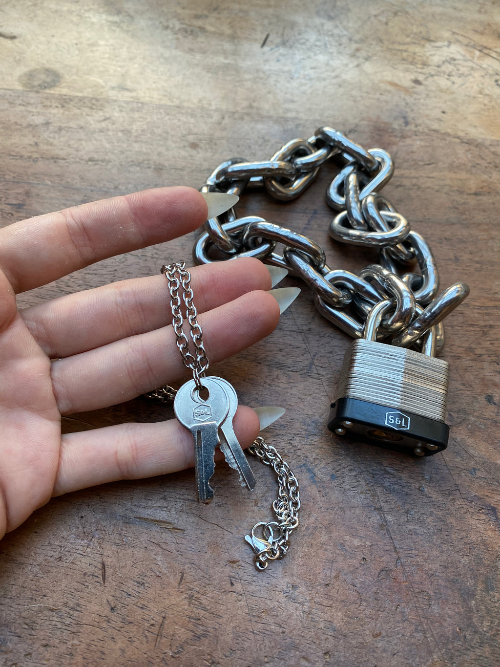 Heavy Stainless Steel Locked Collar and Keys Set