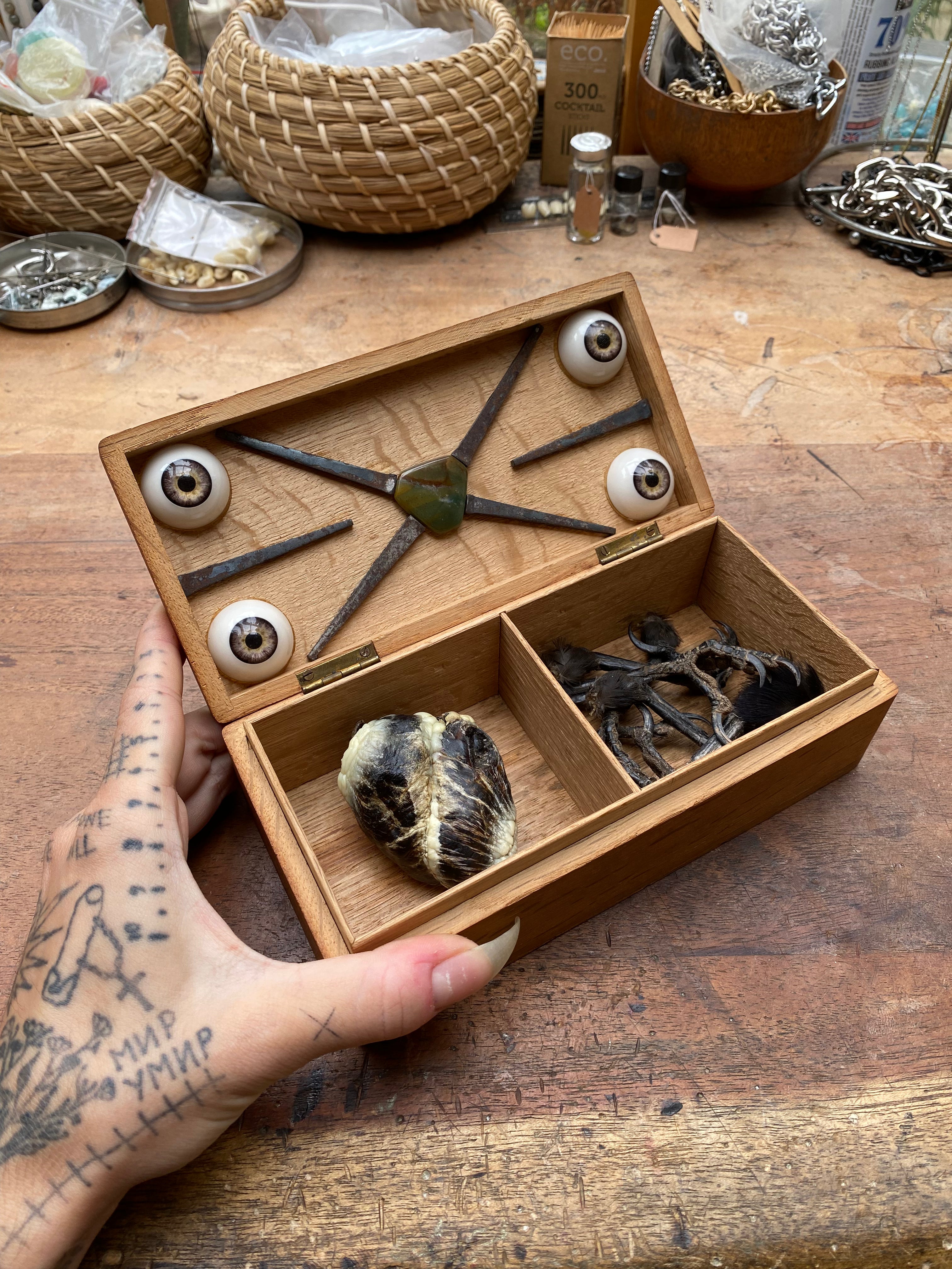 Oddity Box with Mummified Deer Heart, Crow Feet and Coffin Nails