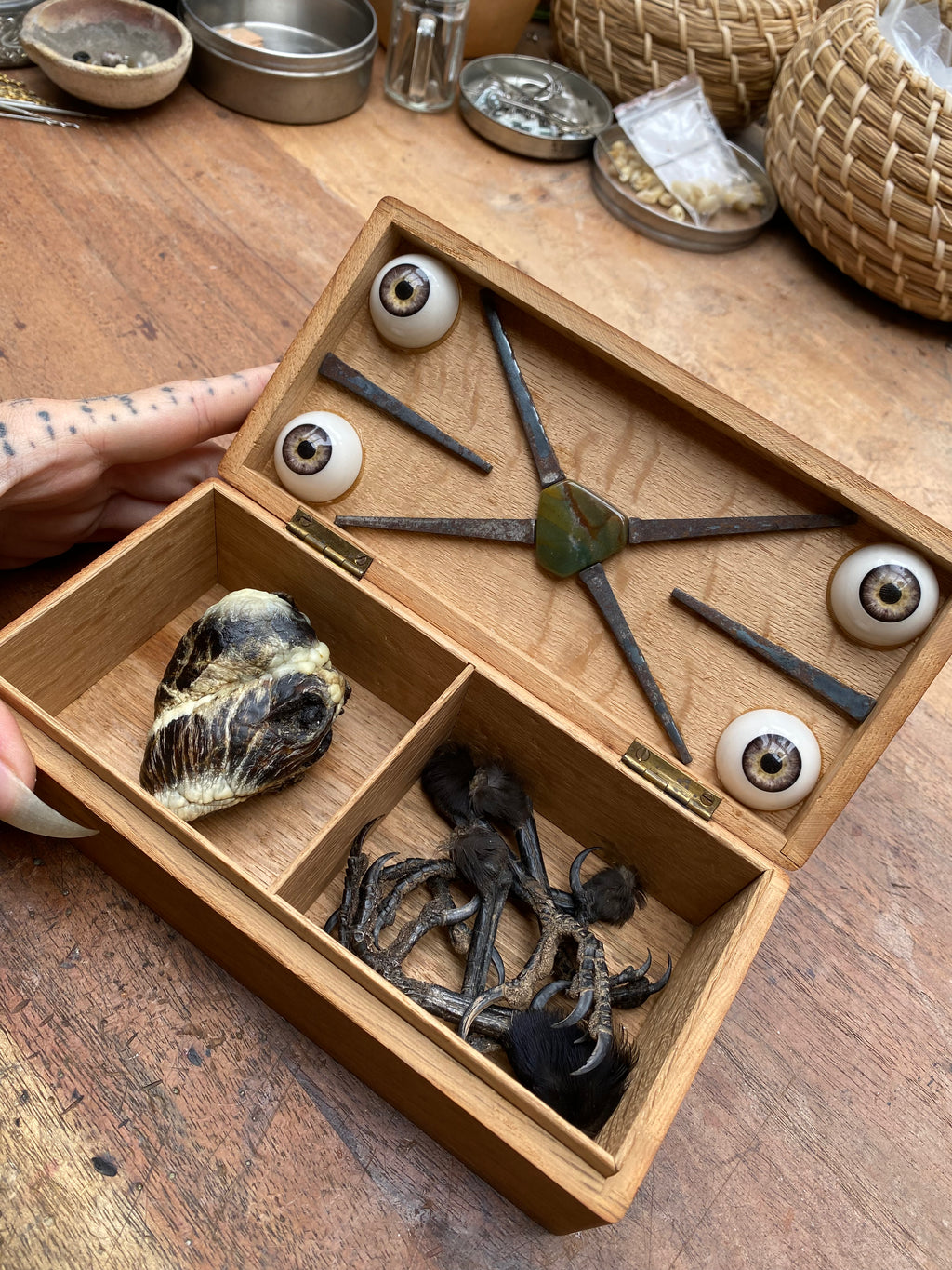 Oddity Box with Mummified Deer Heart, Crow Feet and Coffin Nails