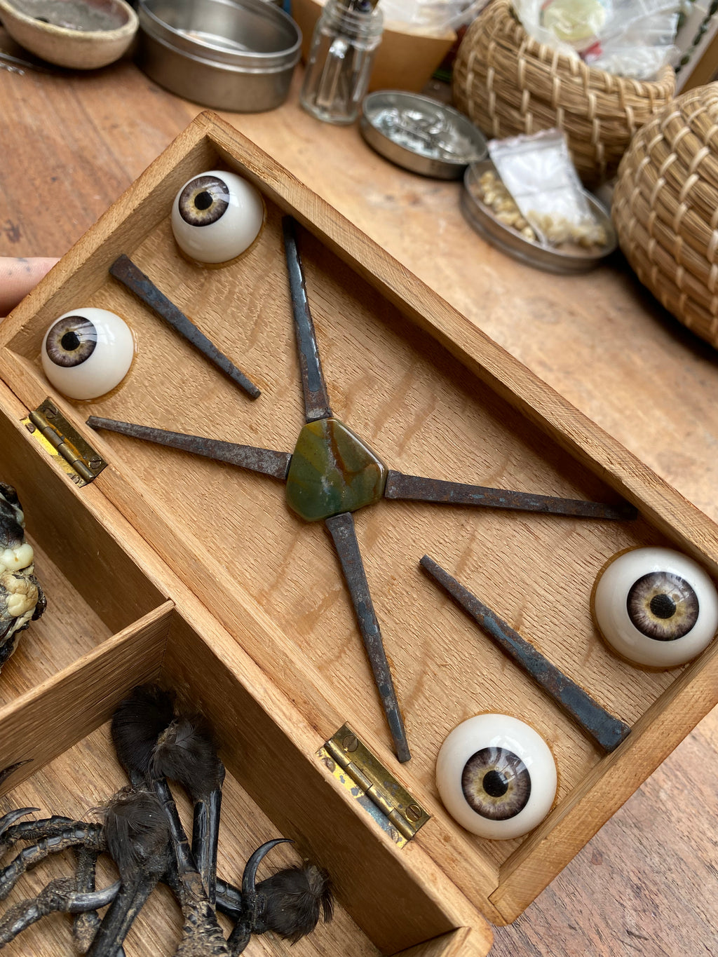 Oddity Box with Mummified Deer Heart, Crow Feet and Coffin Nails