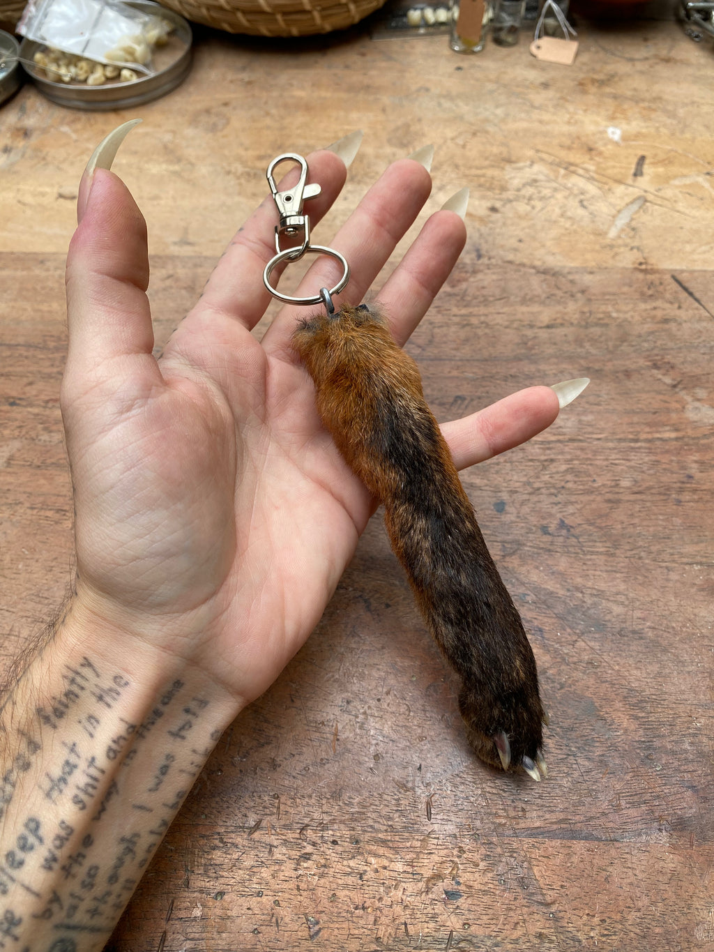 Fox Paw Taxidermy Keychain
