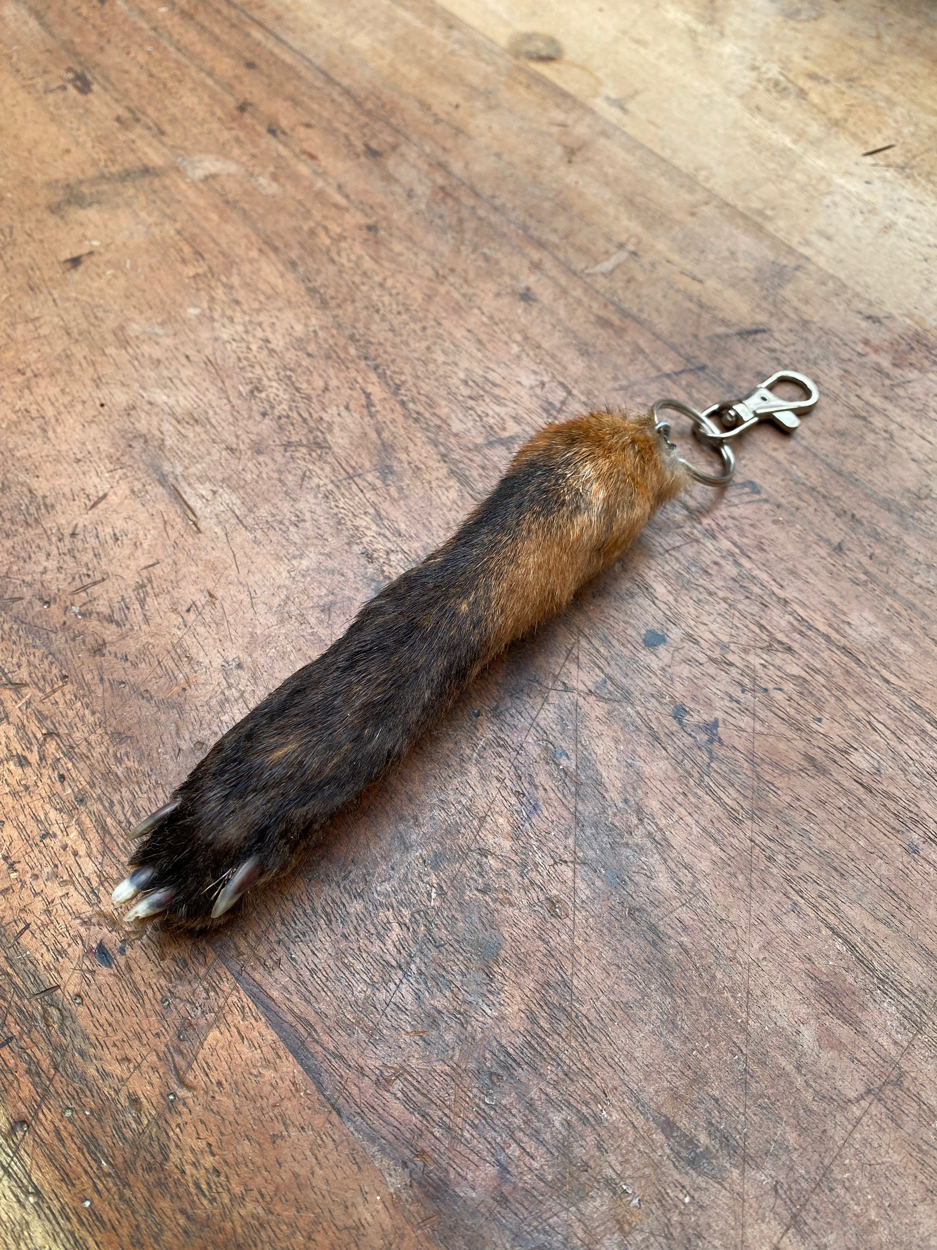 Fox Paw Taxidermy Keychain