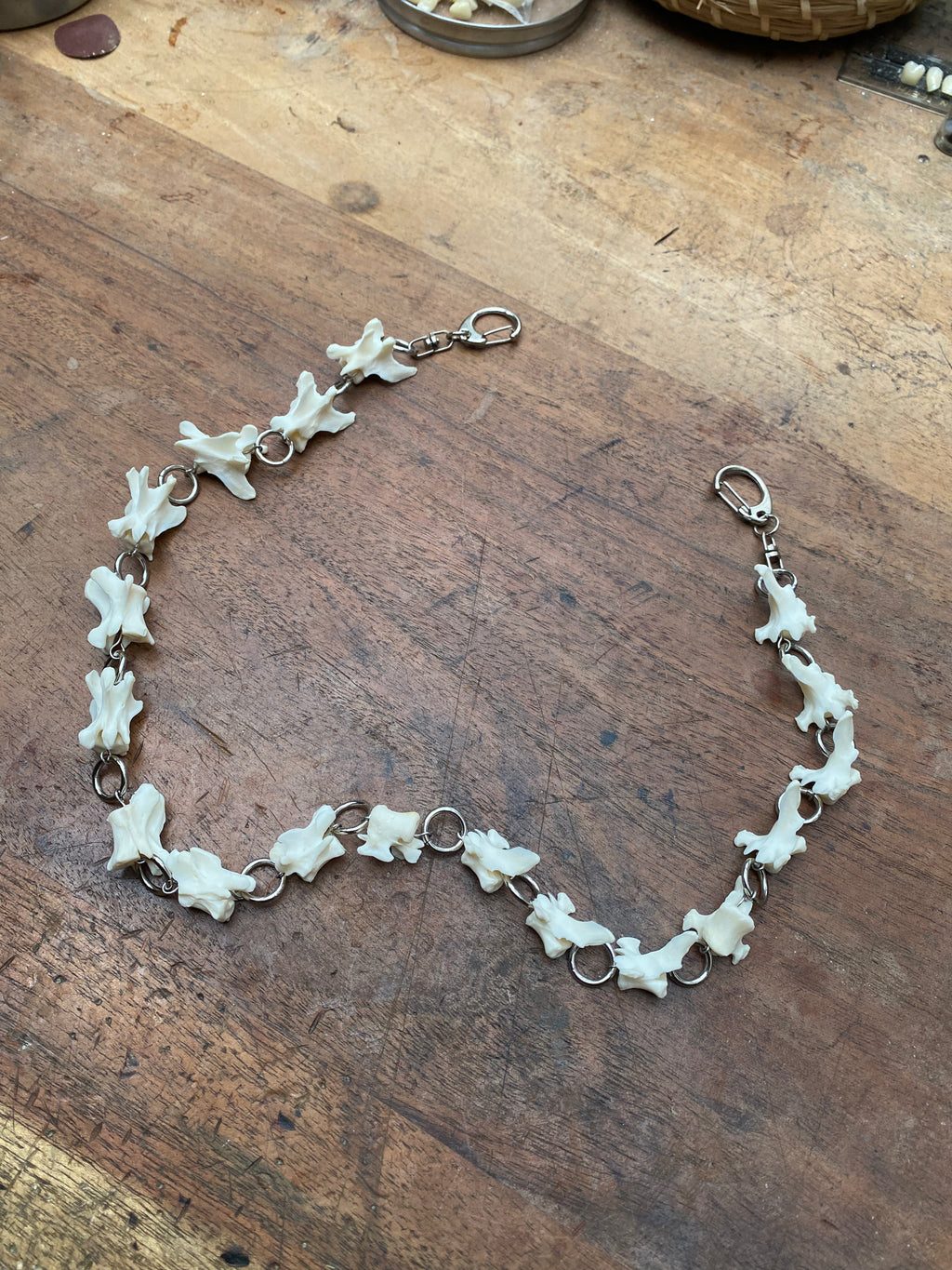 Mink Vertibrae Bone Belt/Wallet Chain
