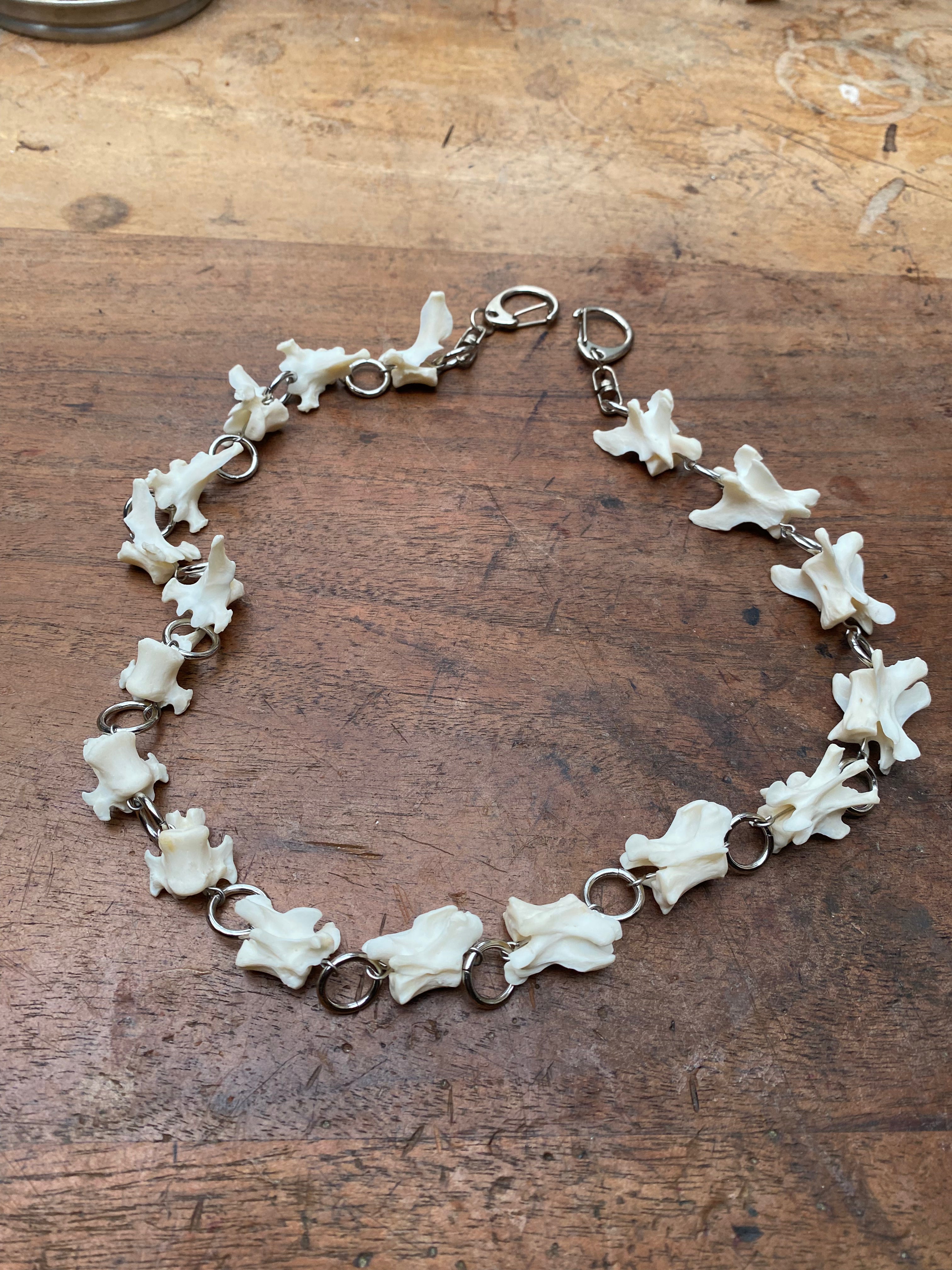 Mink Vertibrae Bone Belt/Wallet Chain