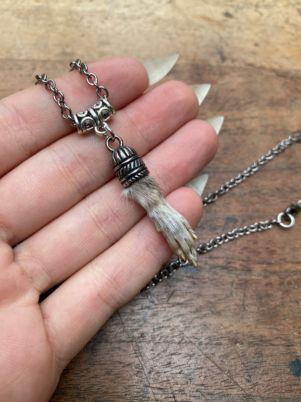 Taxidermy Squirrel Paw Pendant Necklace