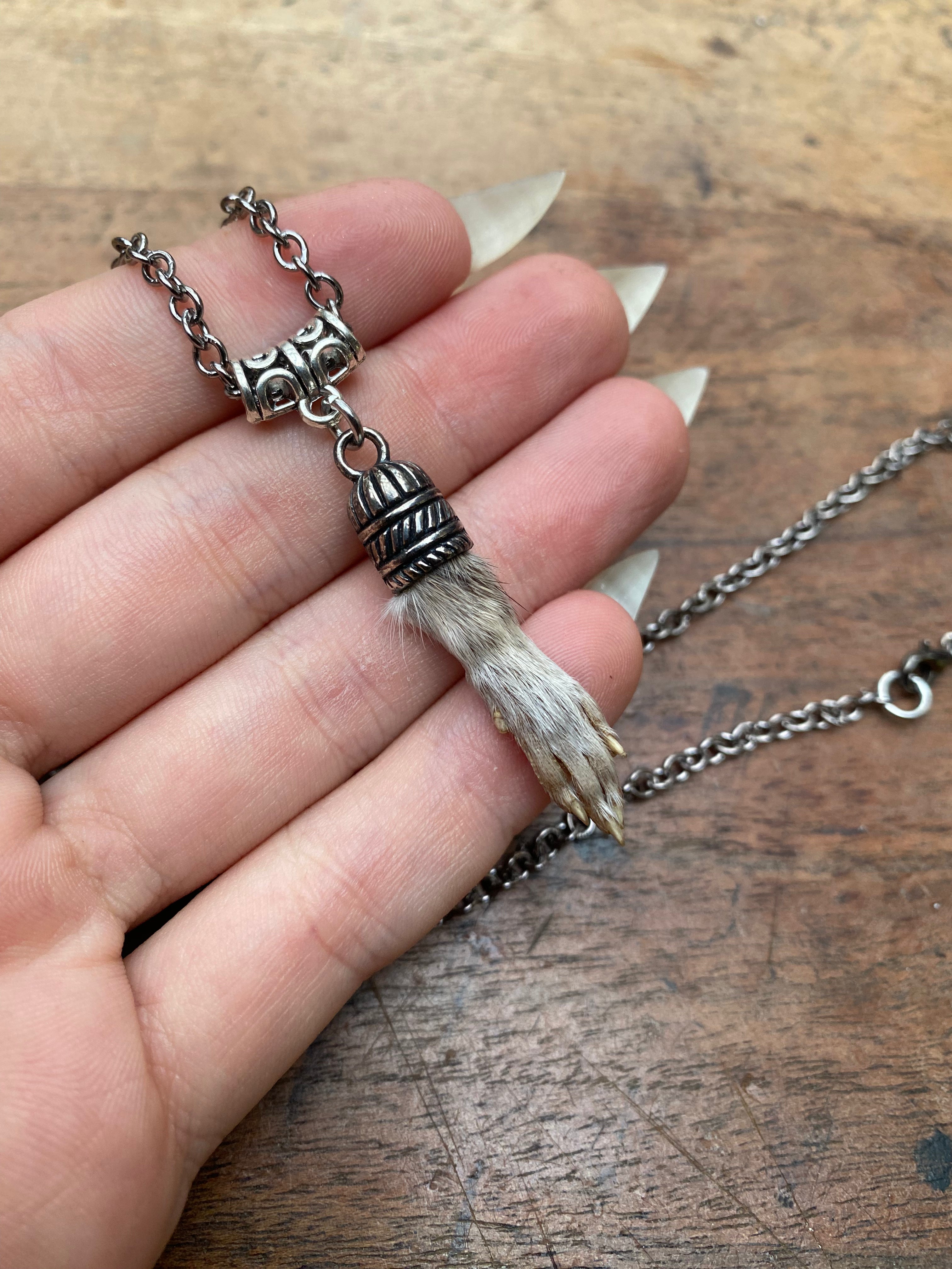 Taxidermy Squirrel Paw Pendant Necklace