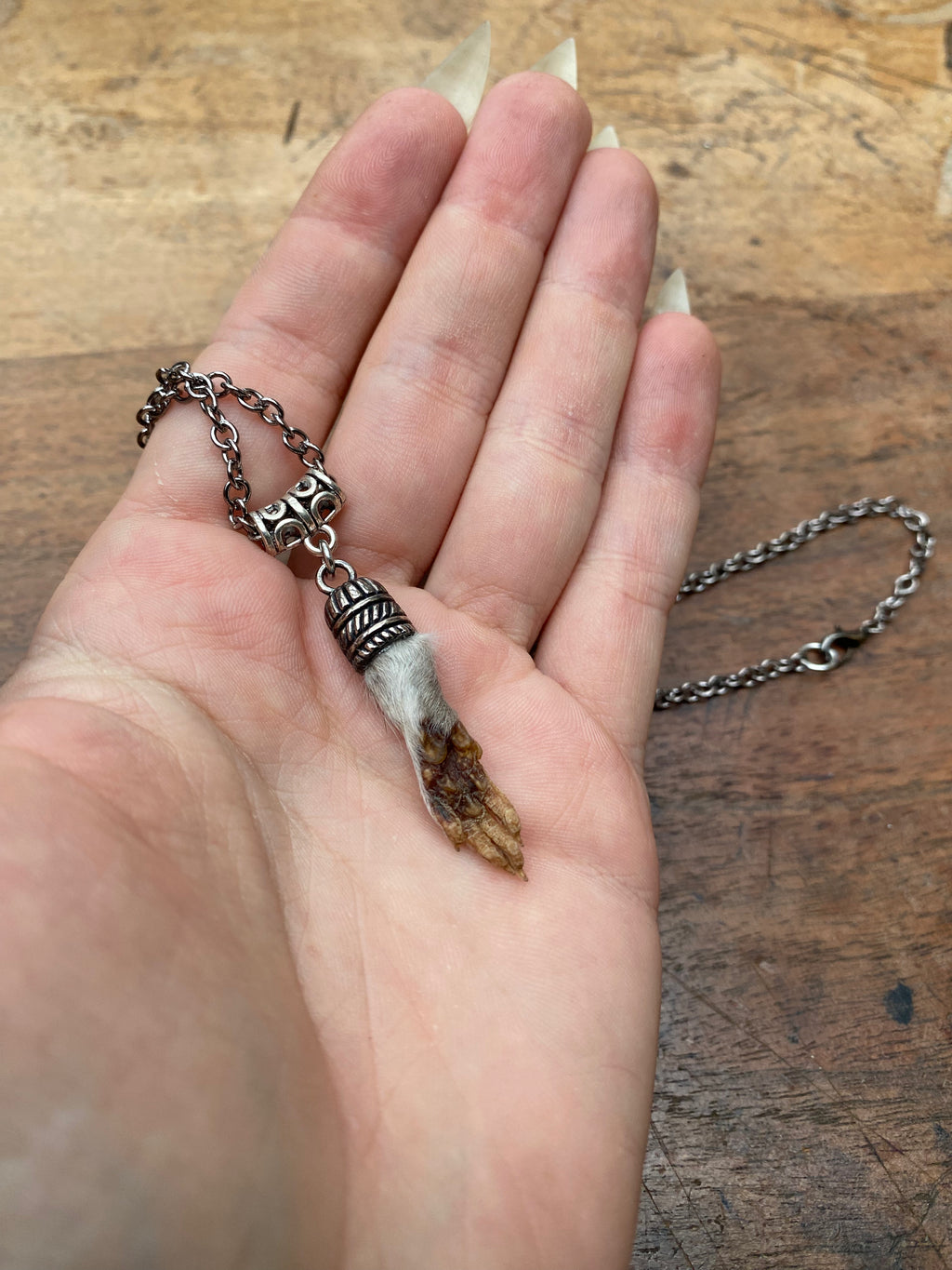Taxidermy Squirrel Paw Pendant Necklace