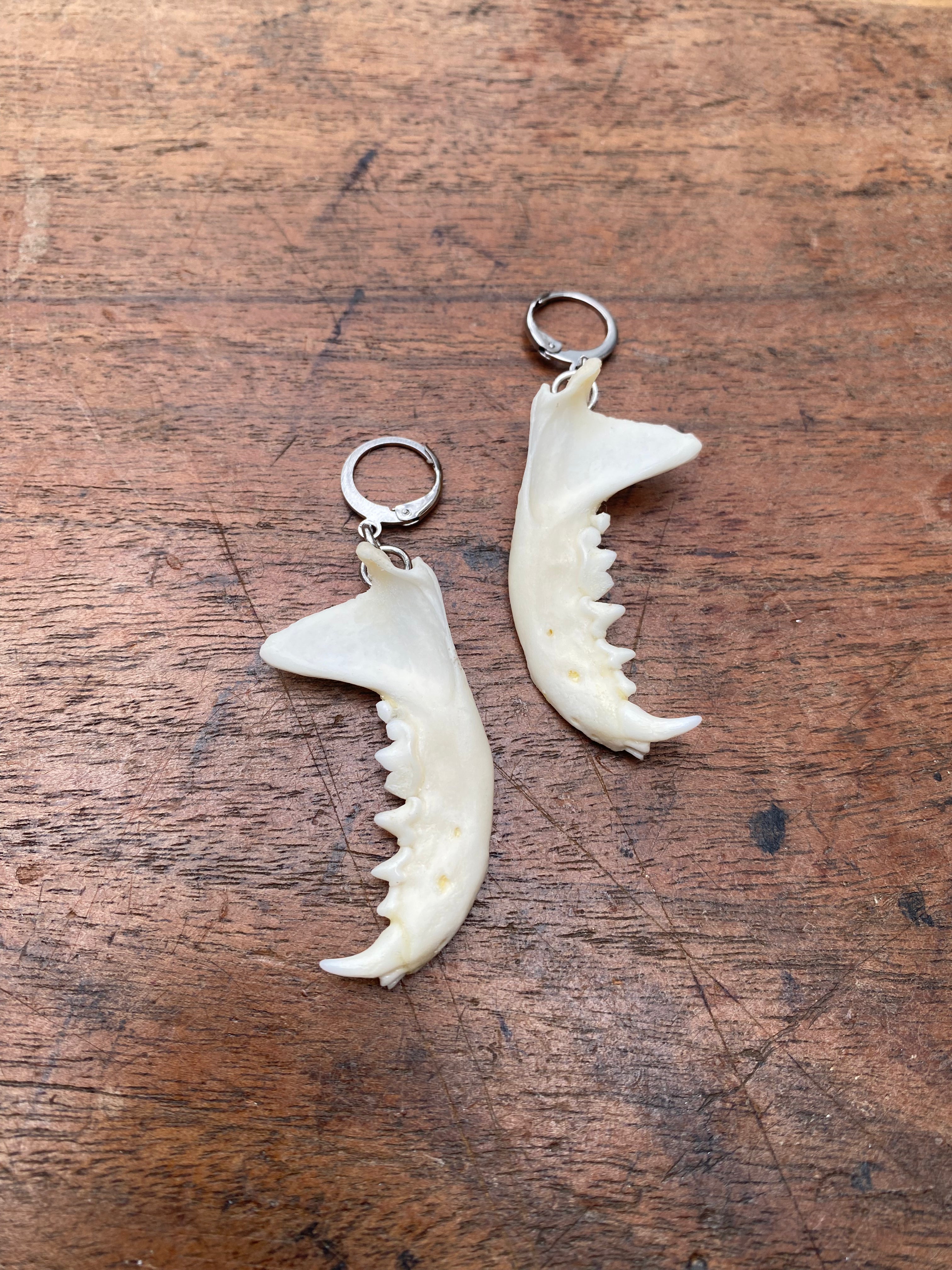 Mink Jaws Stainless Steel Earrings