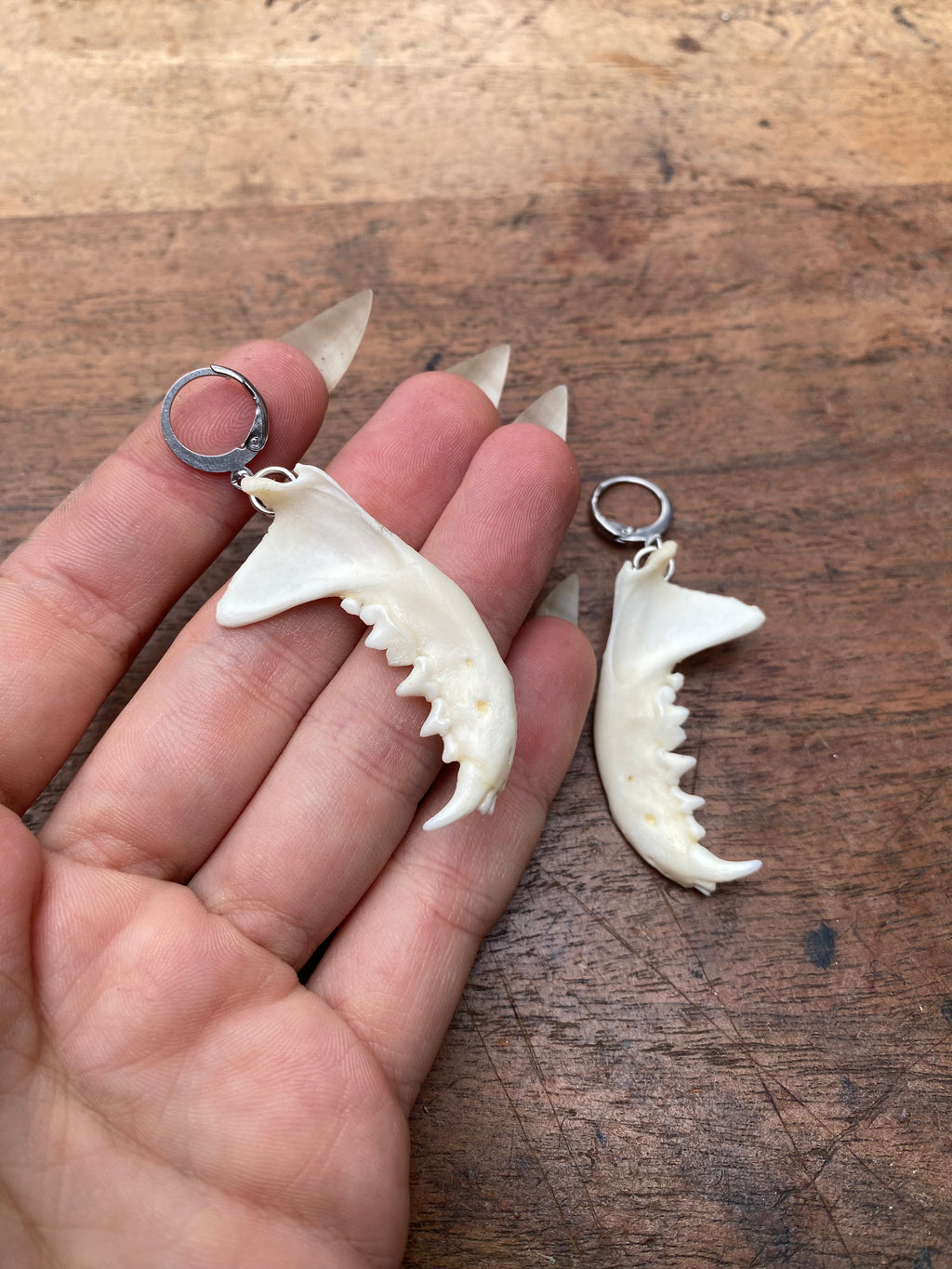 Mink Jaws Stainless Steel Earrings