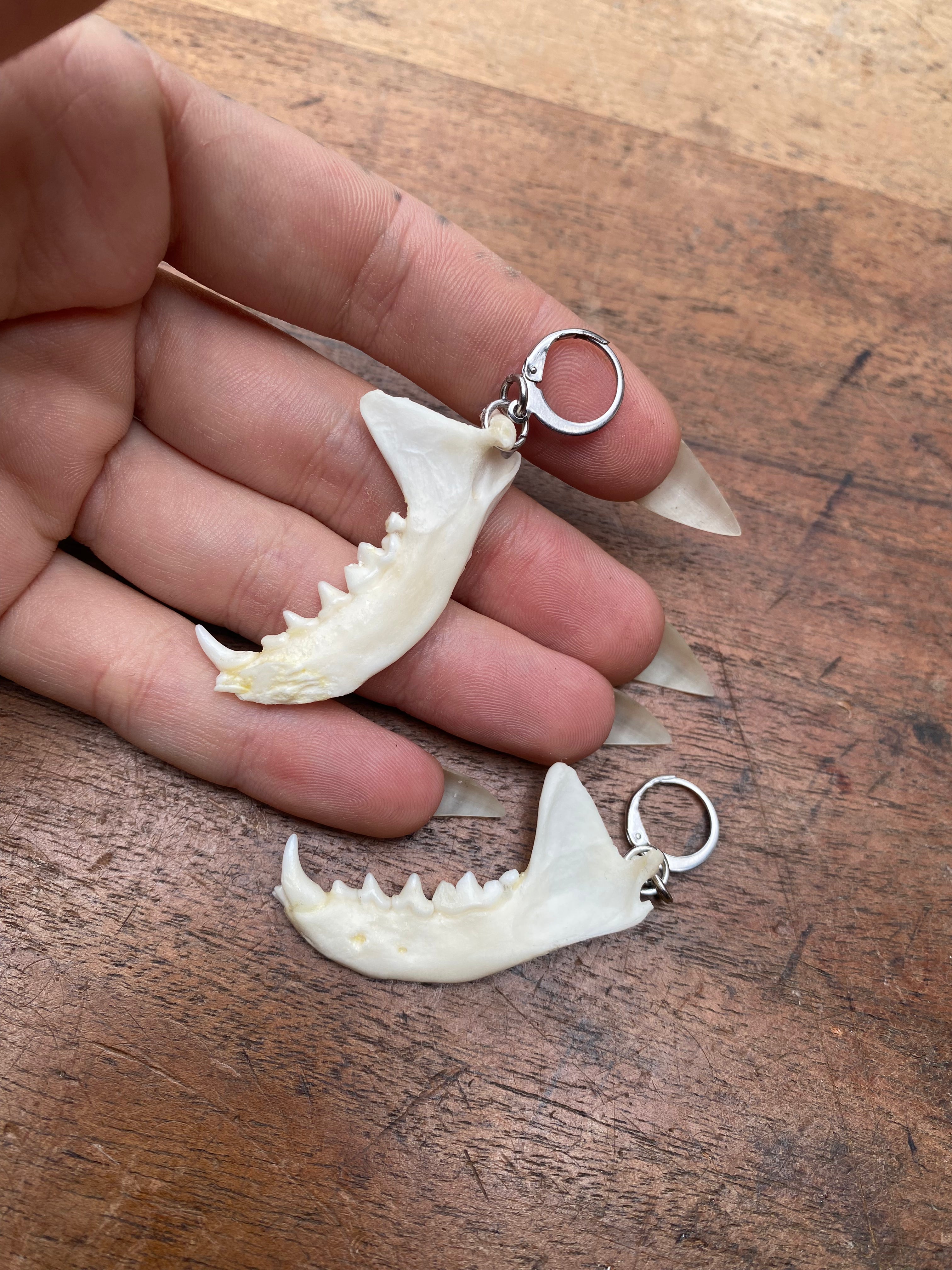 Mink Jaws Stainless Steel Earrings