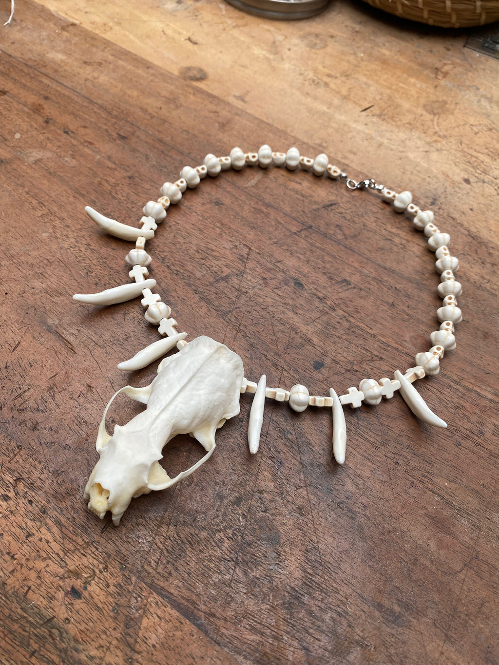 Mink Skull, Coyote Teeth and Howlite Beads Necklace