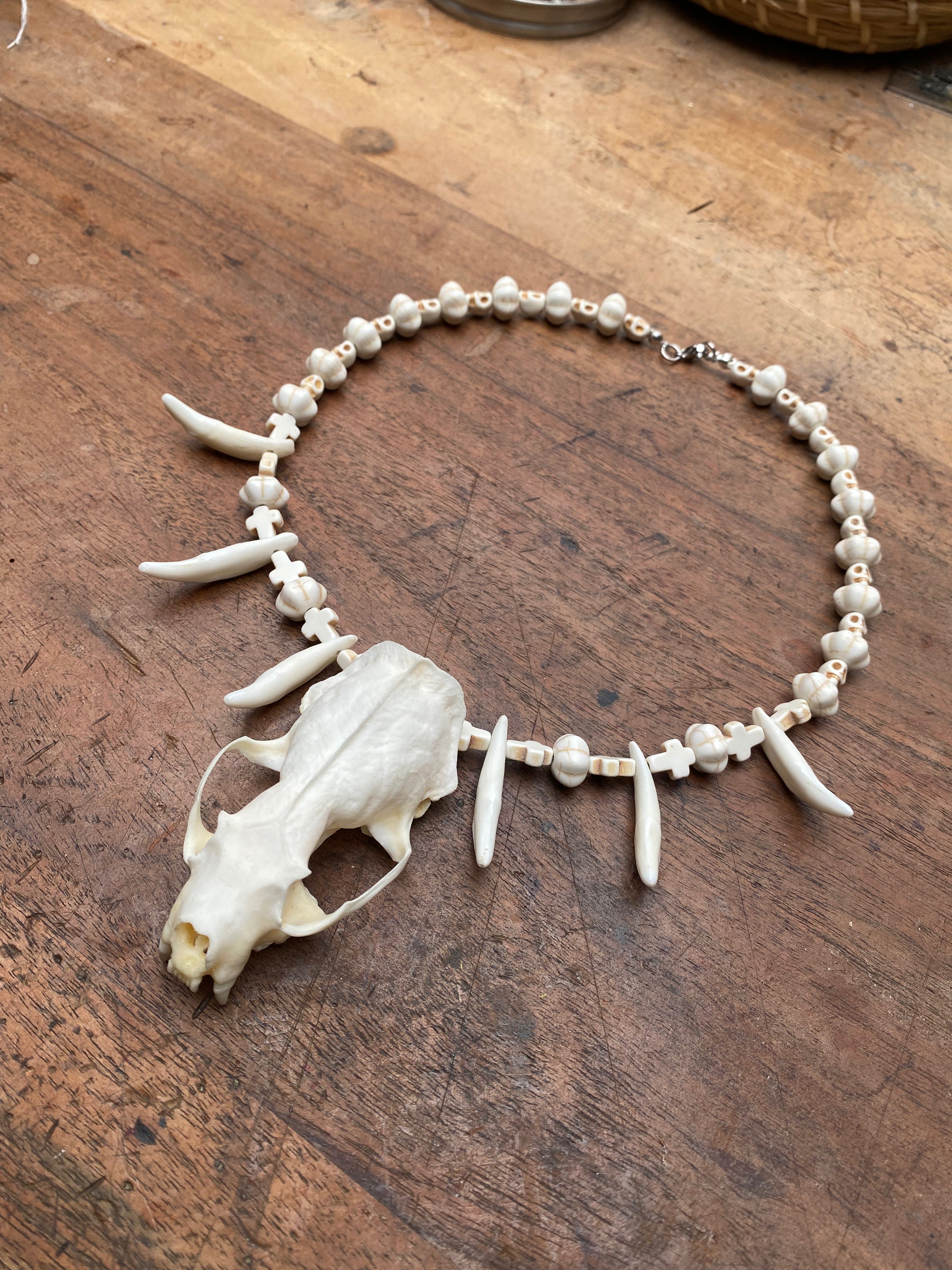 Mink Skull, Coyote Teeth and Howlite Beads Necklace