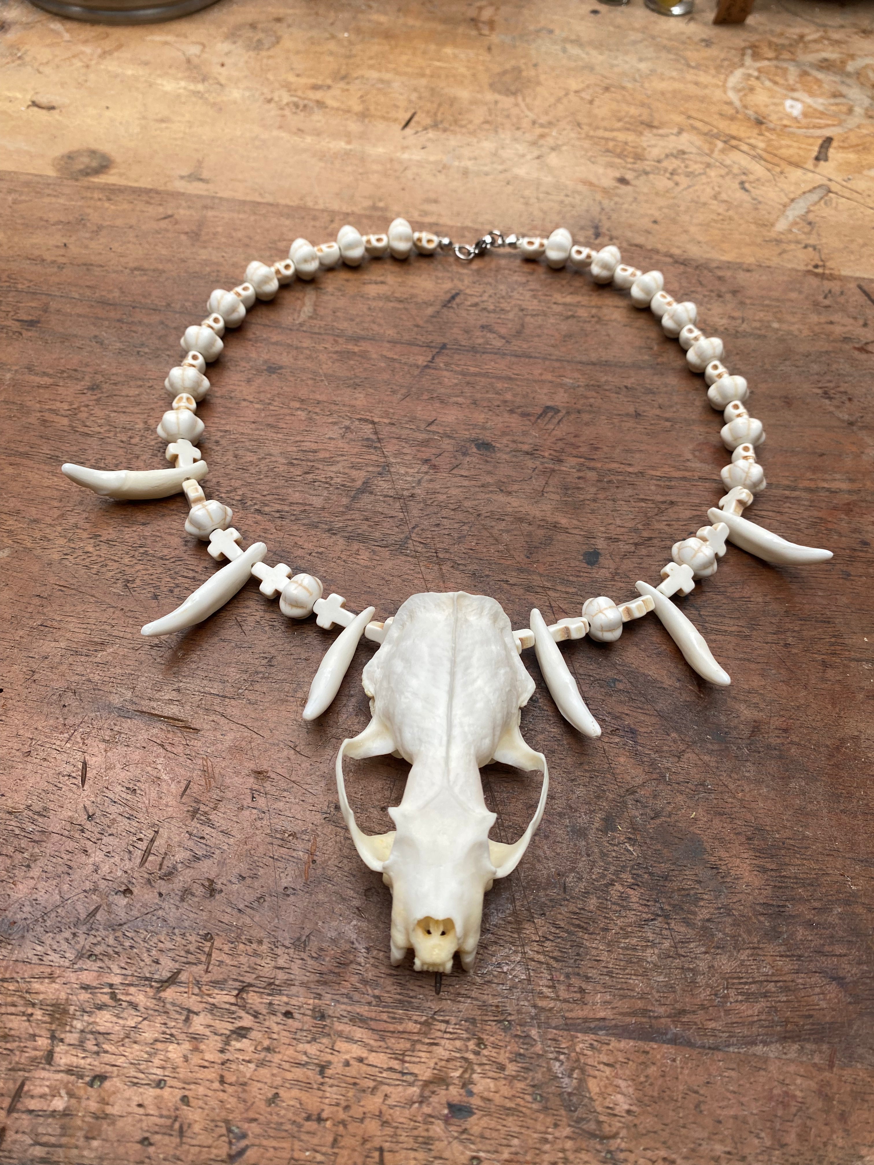Mink Skull, Coyote Teeth and Howlite Beads Necklace
