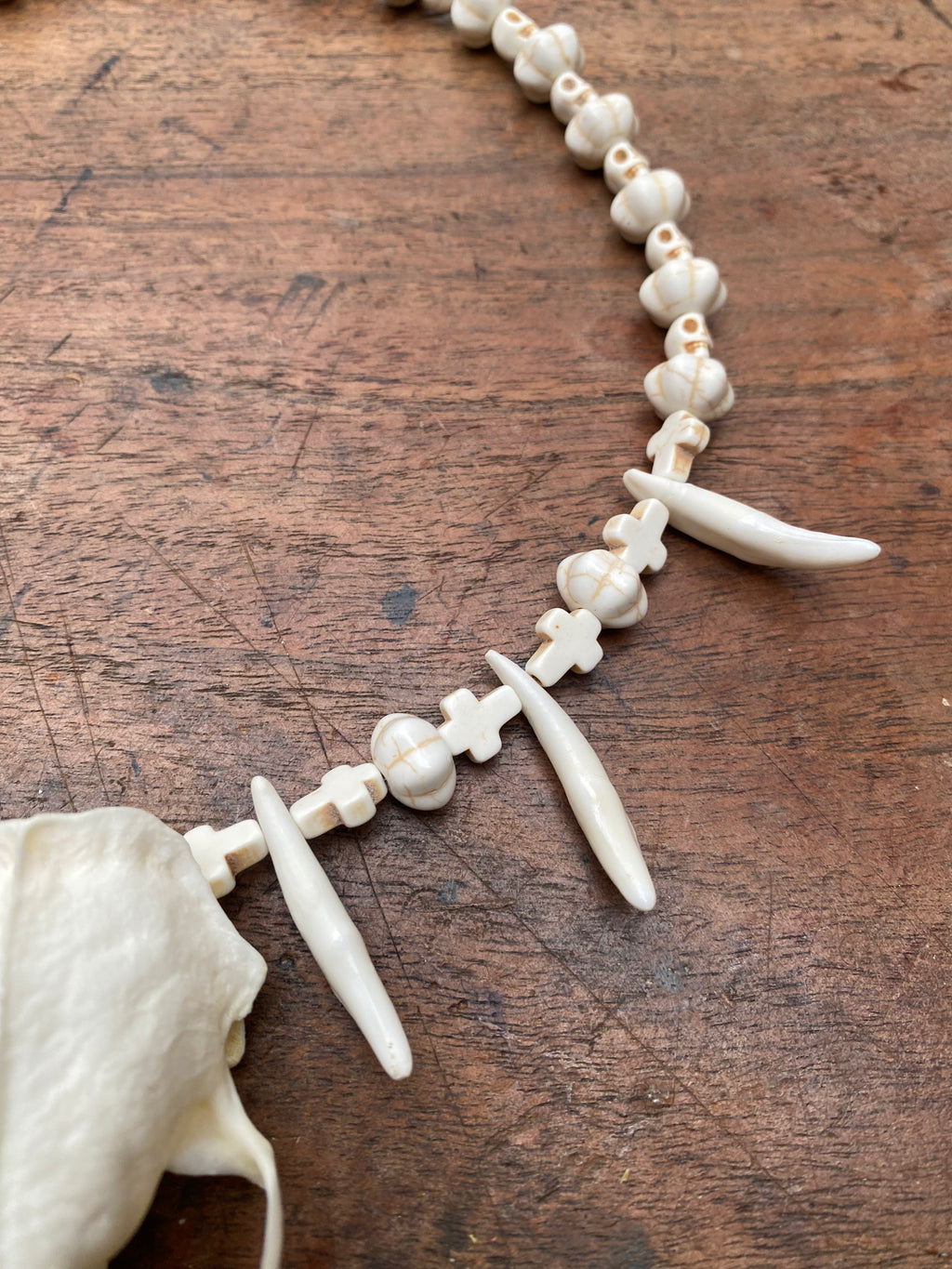 Mink Skull, Coyote Teeth and Howlite Beads Necklace