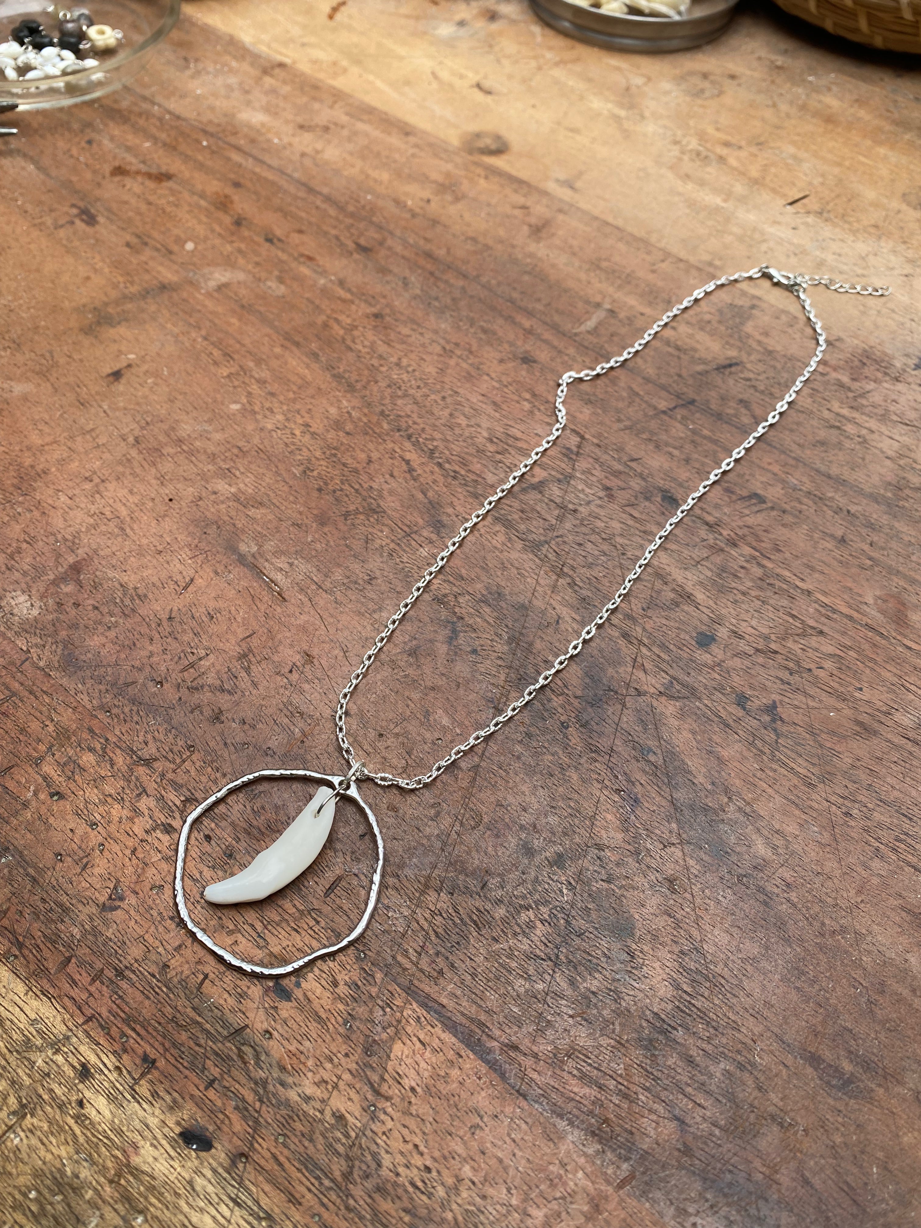 Coyote Tooth in Circle Neckace